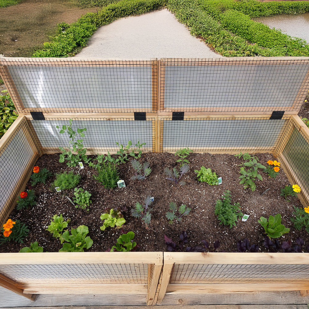 3' x 6' Raised Garden Bed Mini Greenhouse Kit