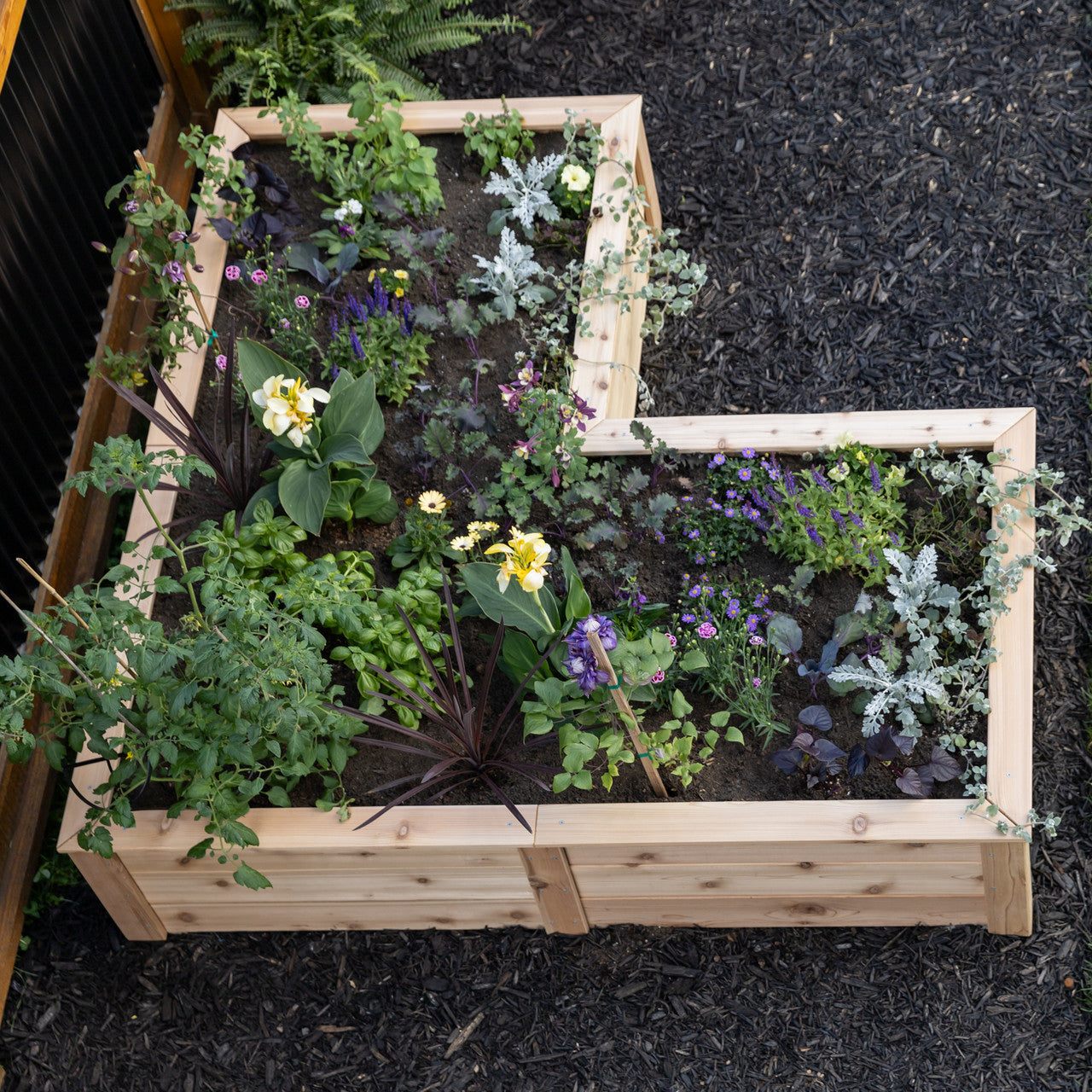 Natural Cedar L-Shaped Raised Garden Beds