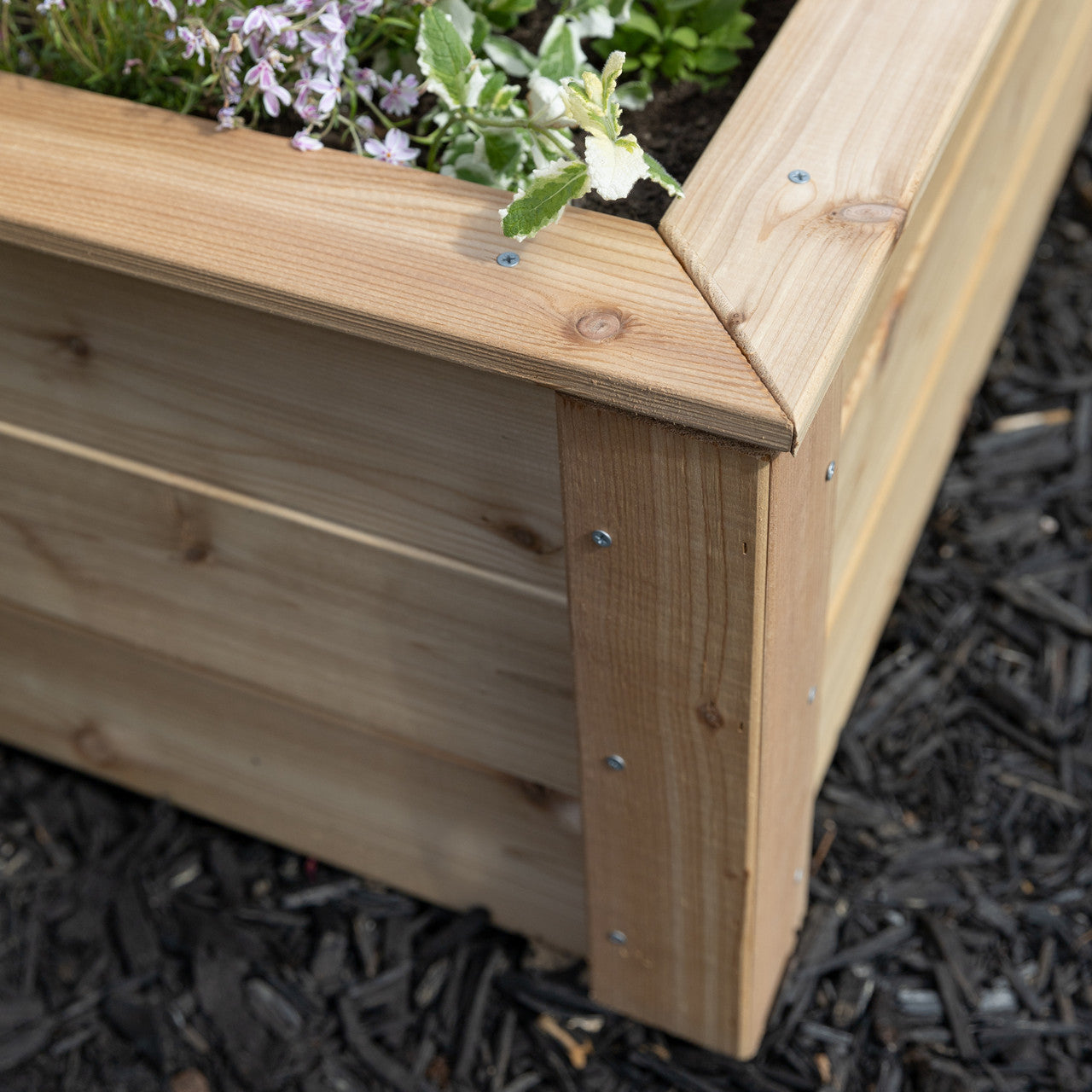 Natural Cedar L-Shaped Raised Beds with Trellis