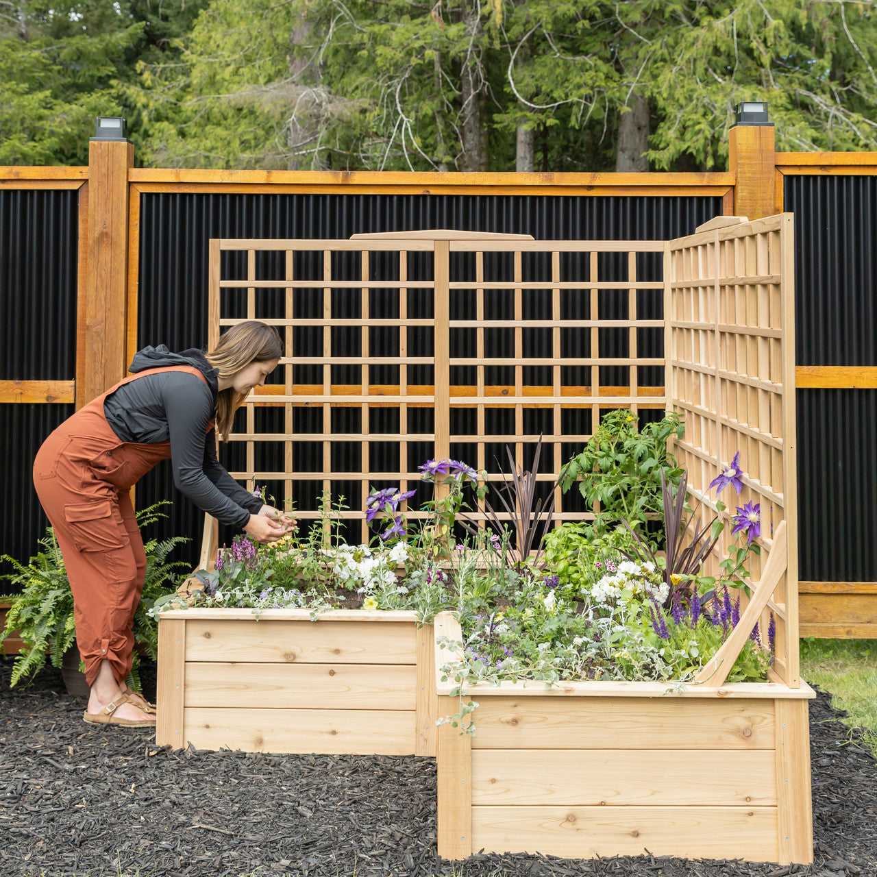 Natural Cedar L-Shaped Raised Beds with Trellis