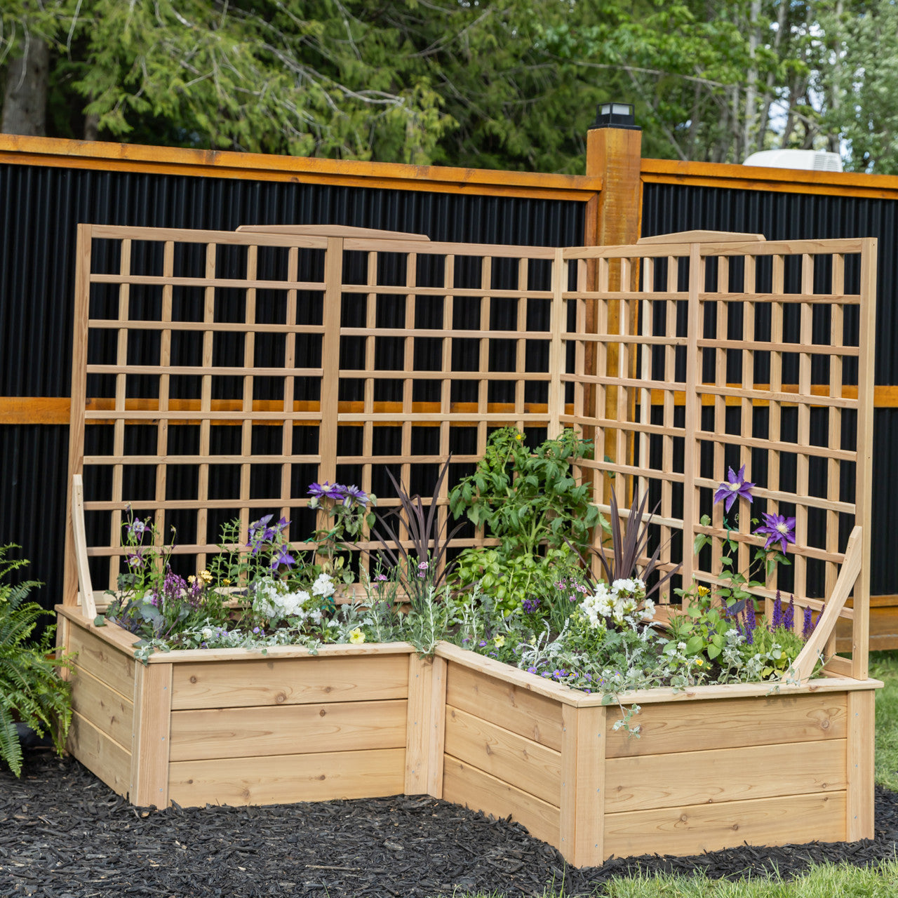 Natural Cedar L-Shaped Raised Beds with Trellis