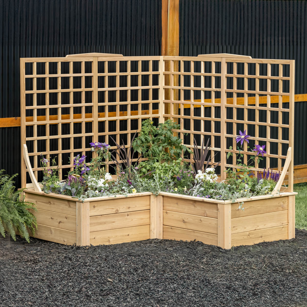 Natural Cedar L-Shaped Raised Beds with Trellis