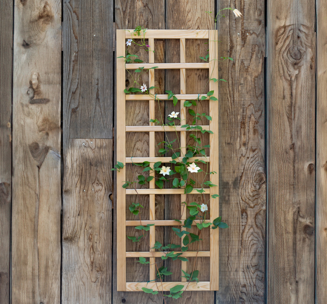 Natural Cedar Wall Mounted Trellises