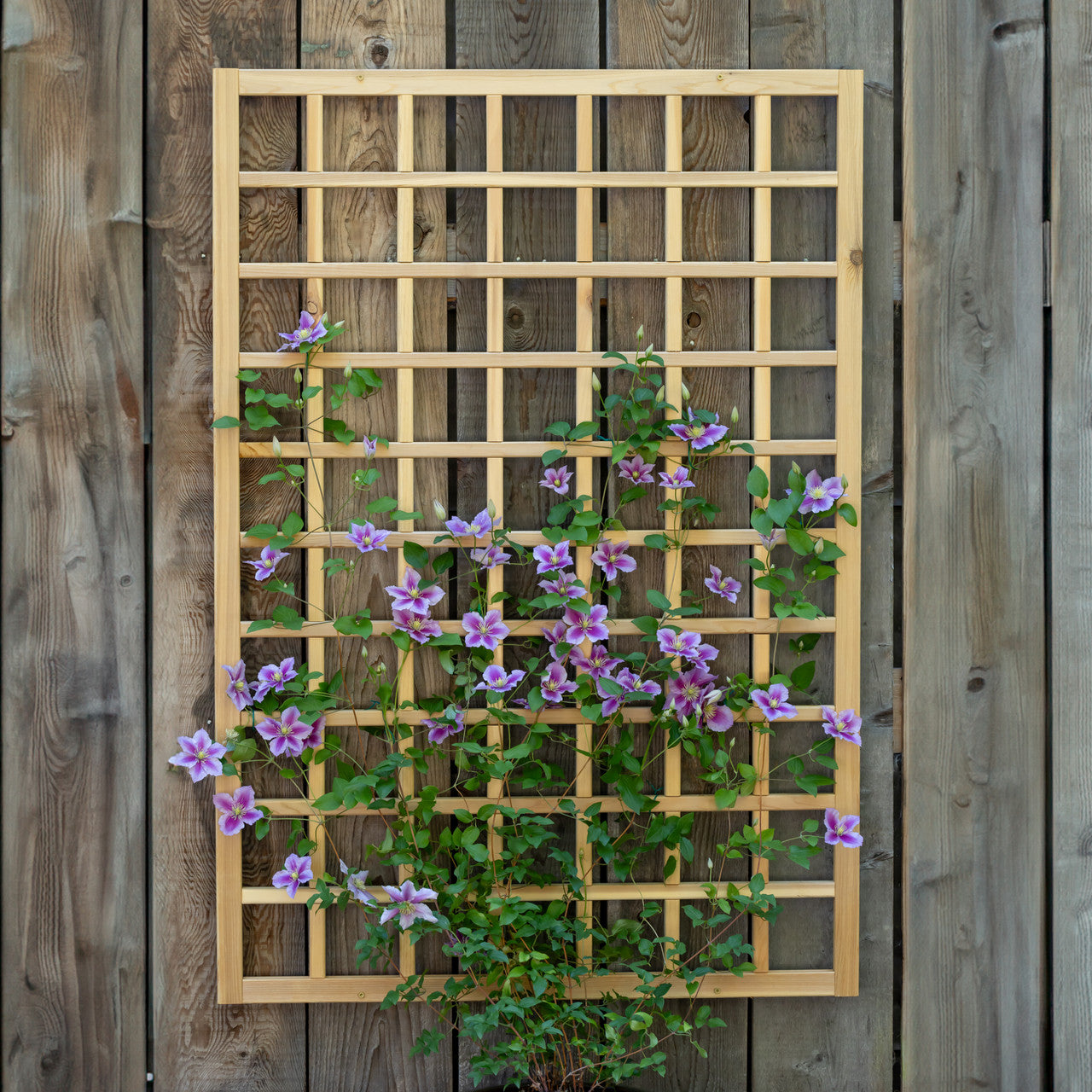 wood fence trellis Natural Cedar Wall Mounted Trellises