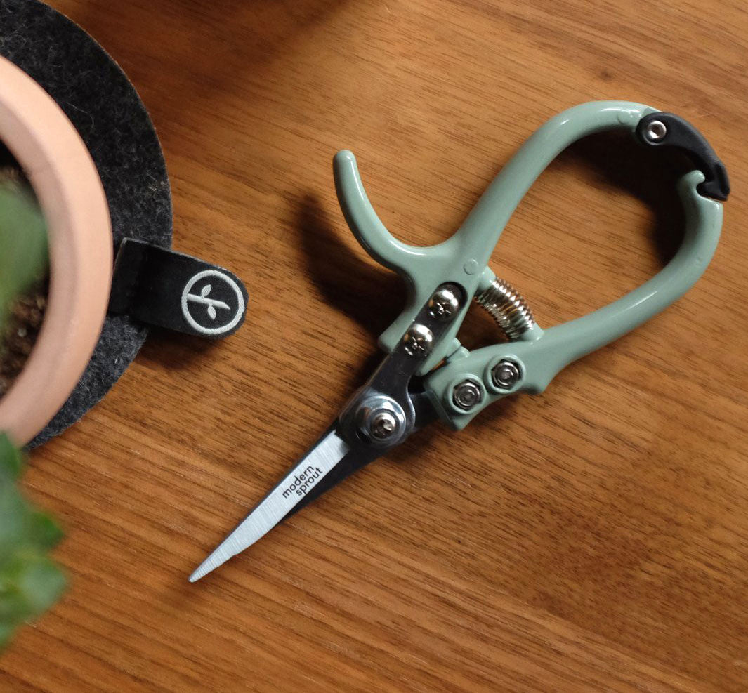 scissor for garden Pruning Shears