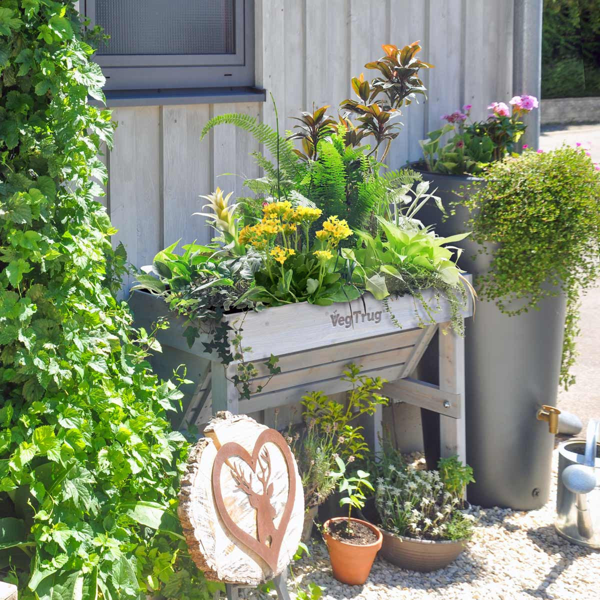 VegTrug Wallhugger Raised Garden Planter - Grey