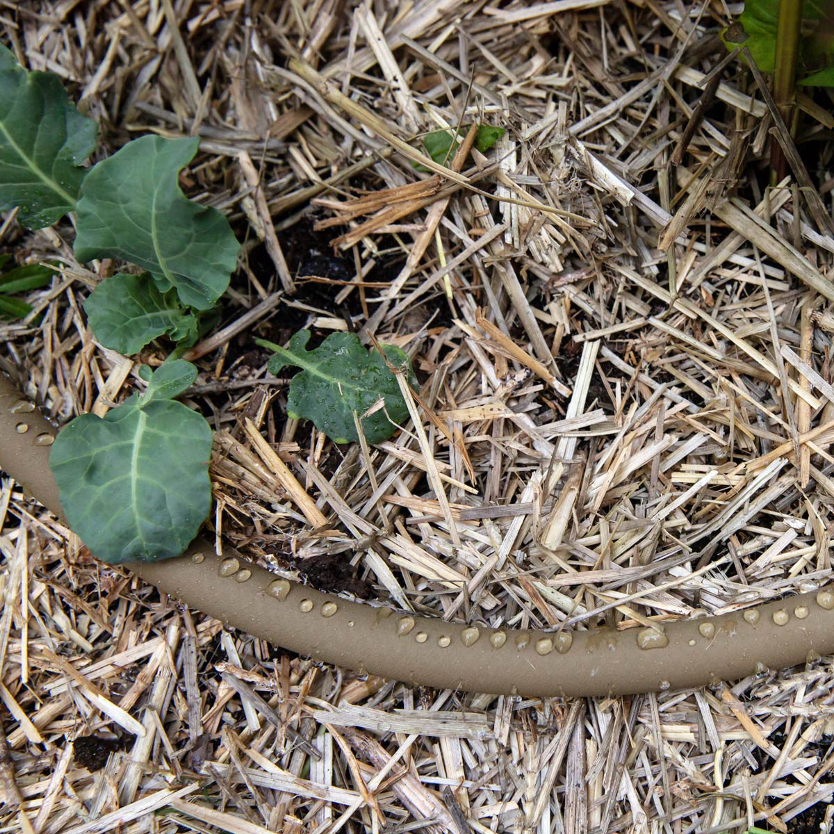 Premium Polyurethane Soaker Hose