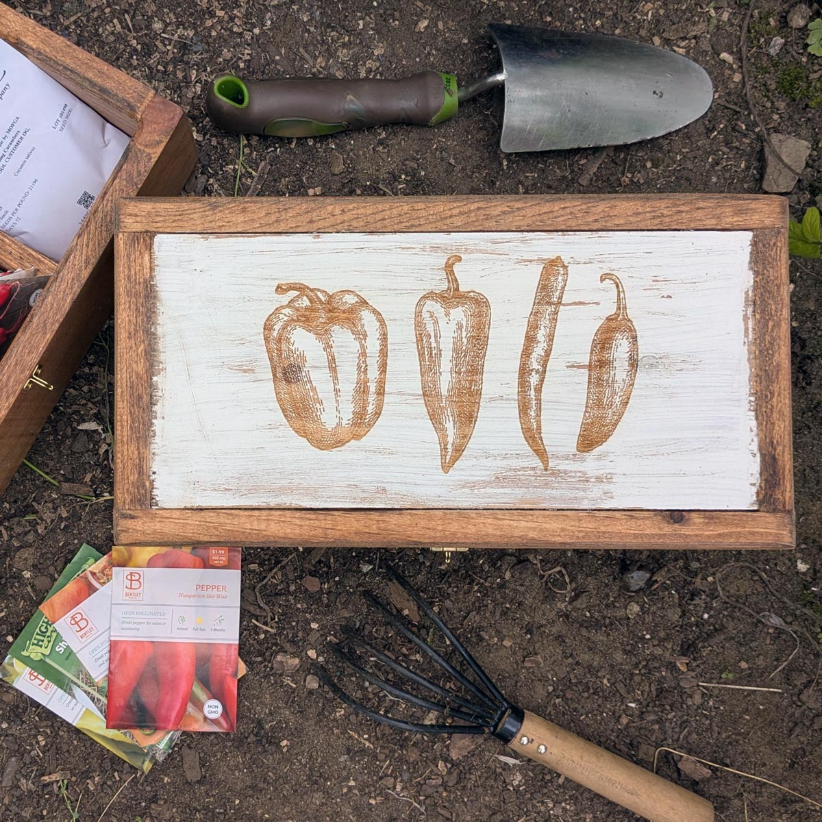 Handcrafted Seed Vault - Divided Wooden Box for Seed Storage