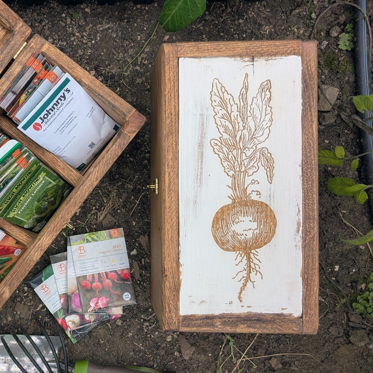 Handcrafted Seed Vault - Divided Wooden Box for Seed Storage