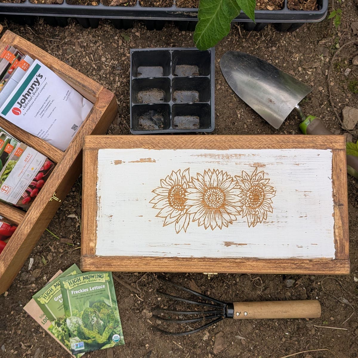 Handcrafted Seed Vault - Divided Wooden Box for Seed Storage