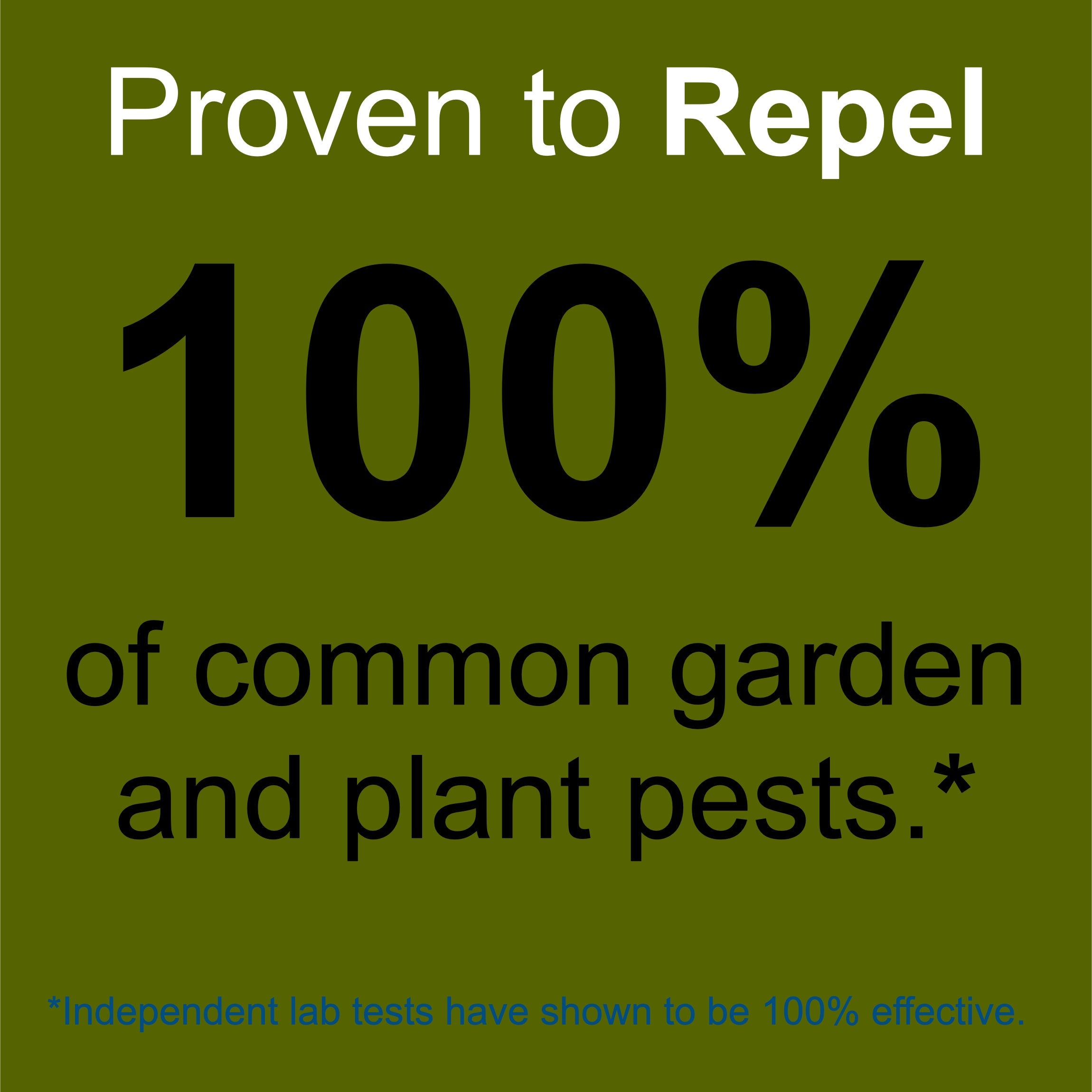 Indoor & Outdoor Plant and Garden Pest Control Spray - 32 oz