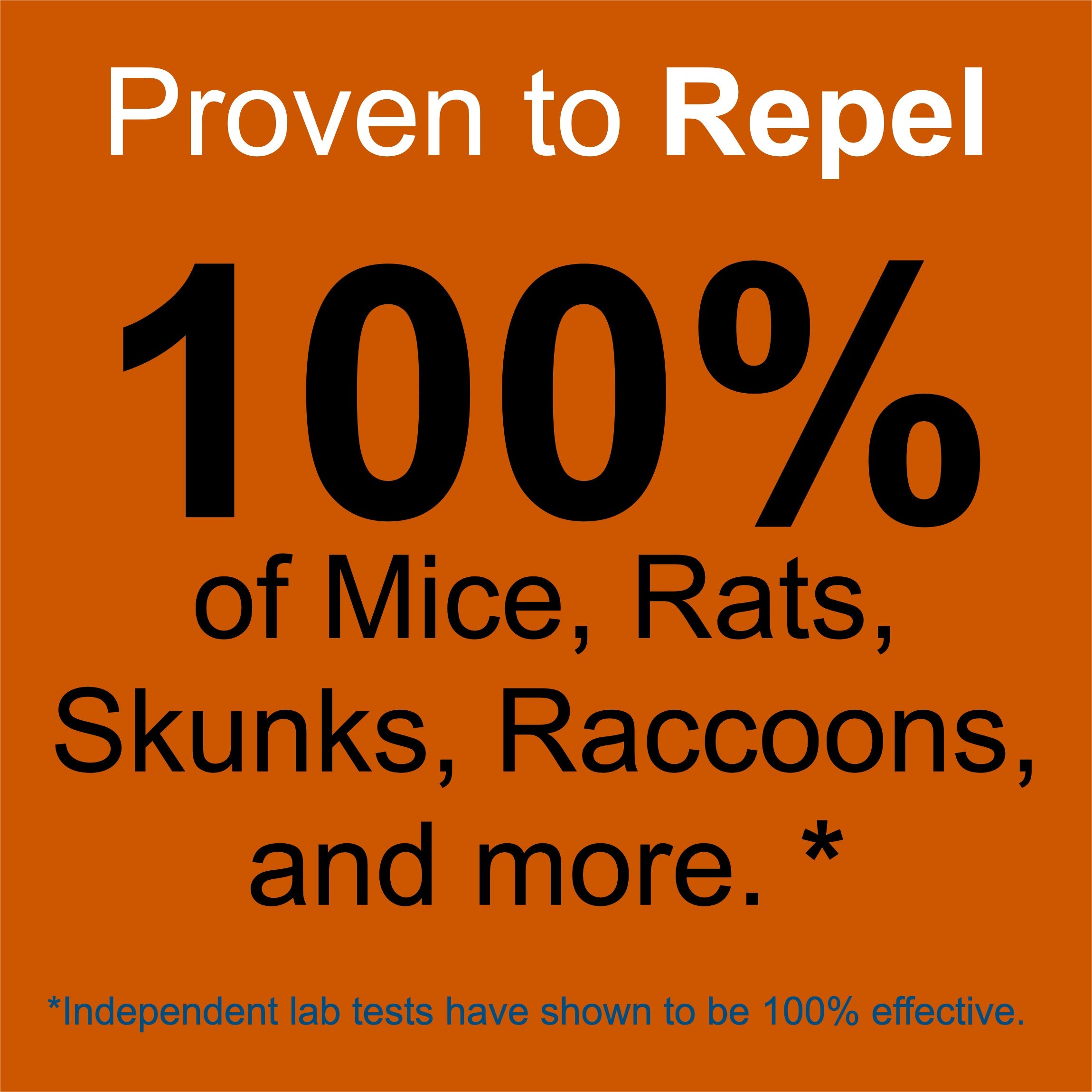 Long Lasting Rodent Repellent Spray - 32 oz