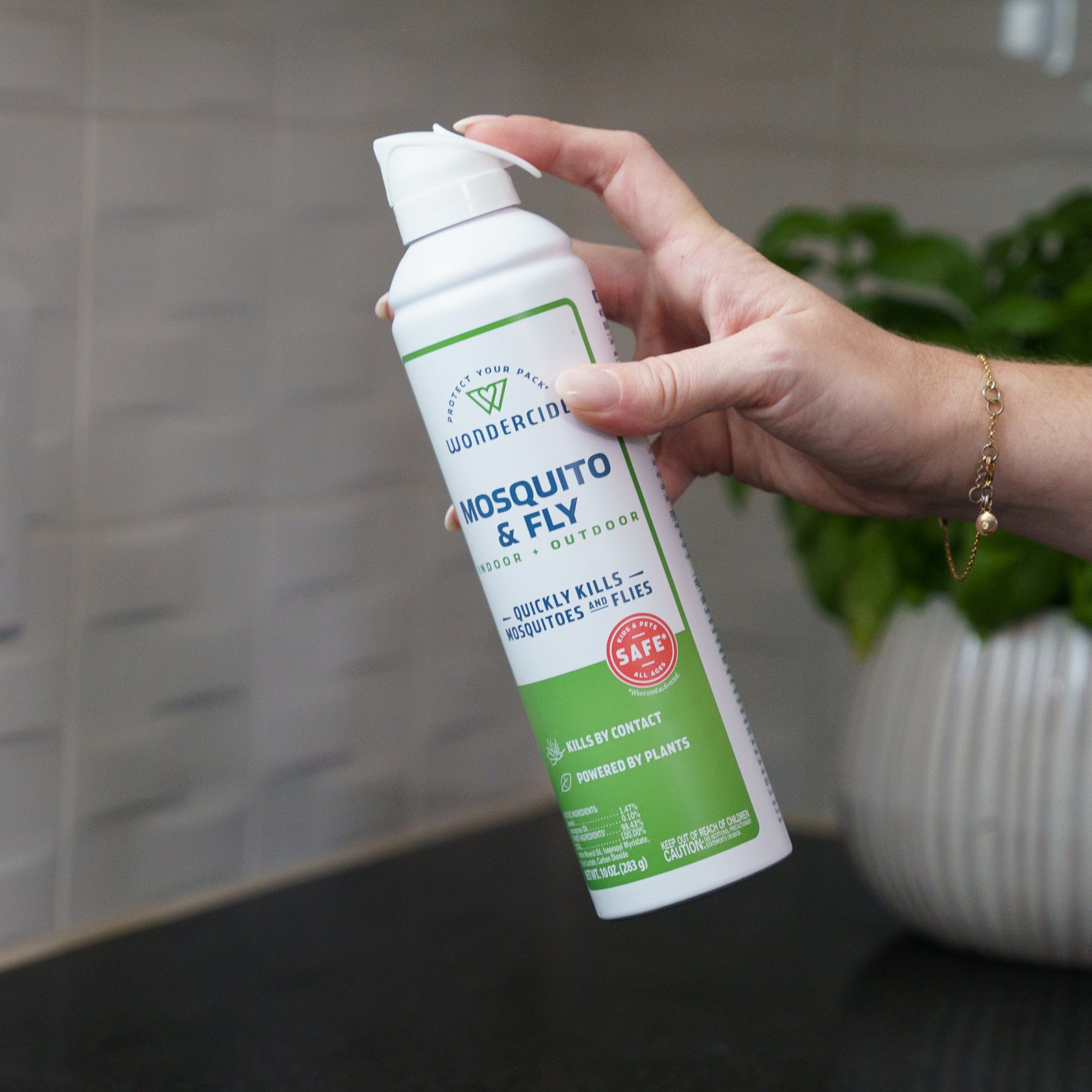 Indoor & Outdoor Mosquito & Flying Insect Pesticide Spray