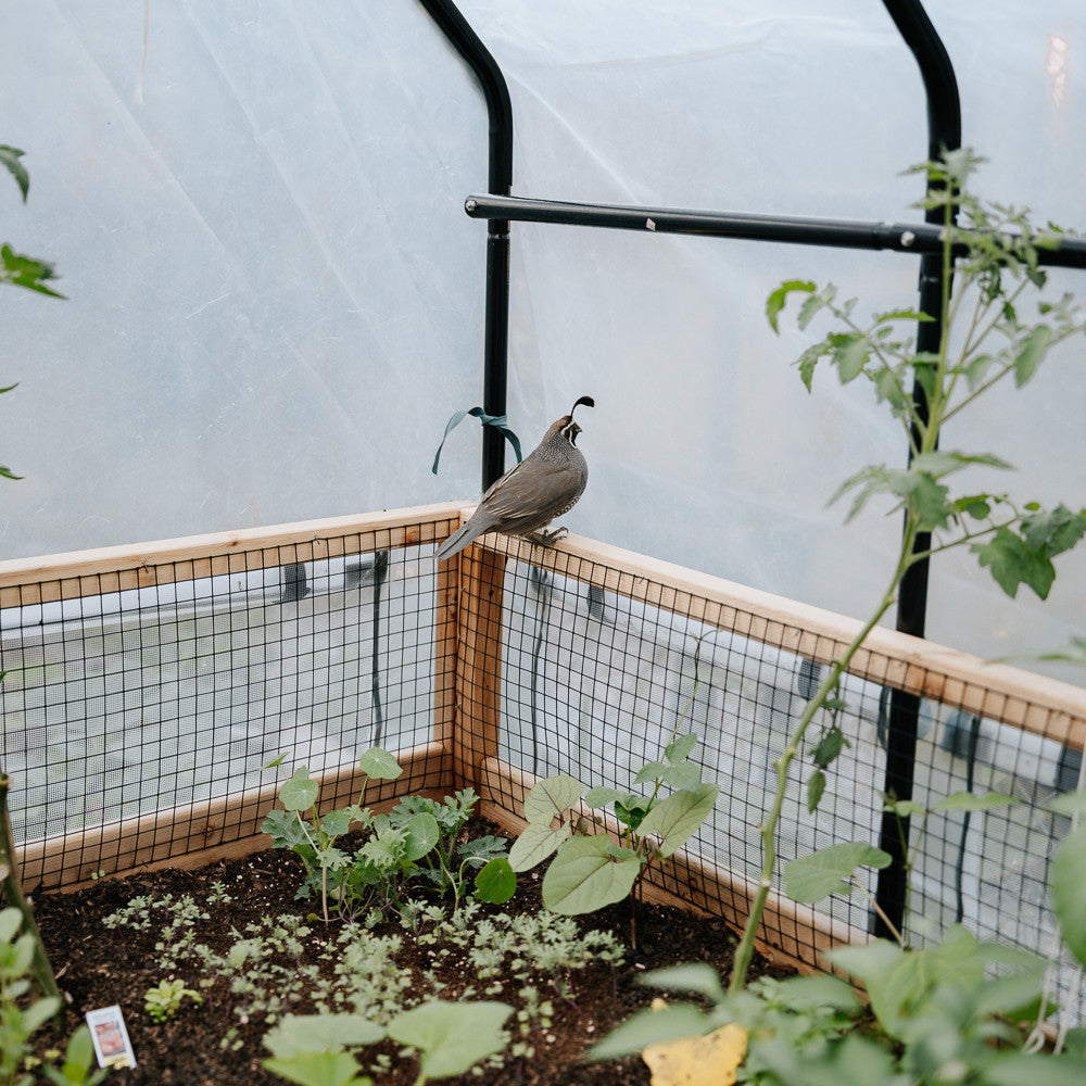 Cedar Complete Raised Garden Bed Kit with Greenhouse Cover 8' x 12'