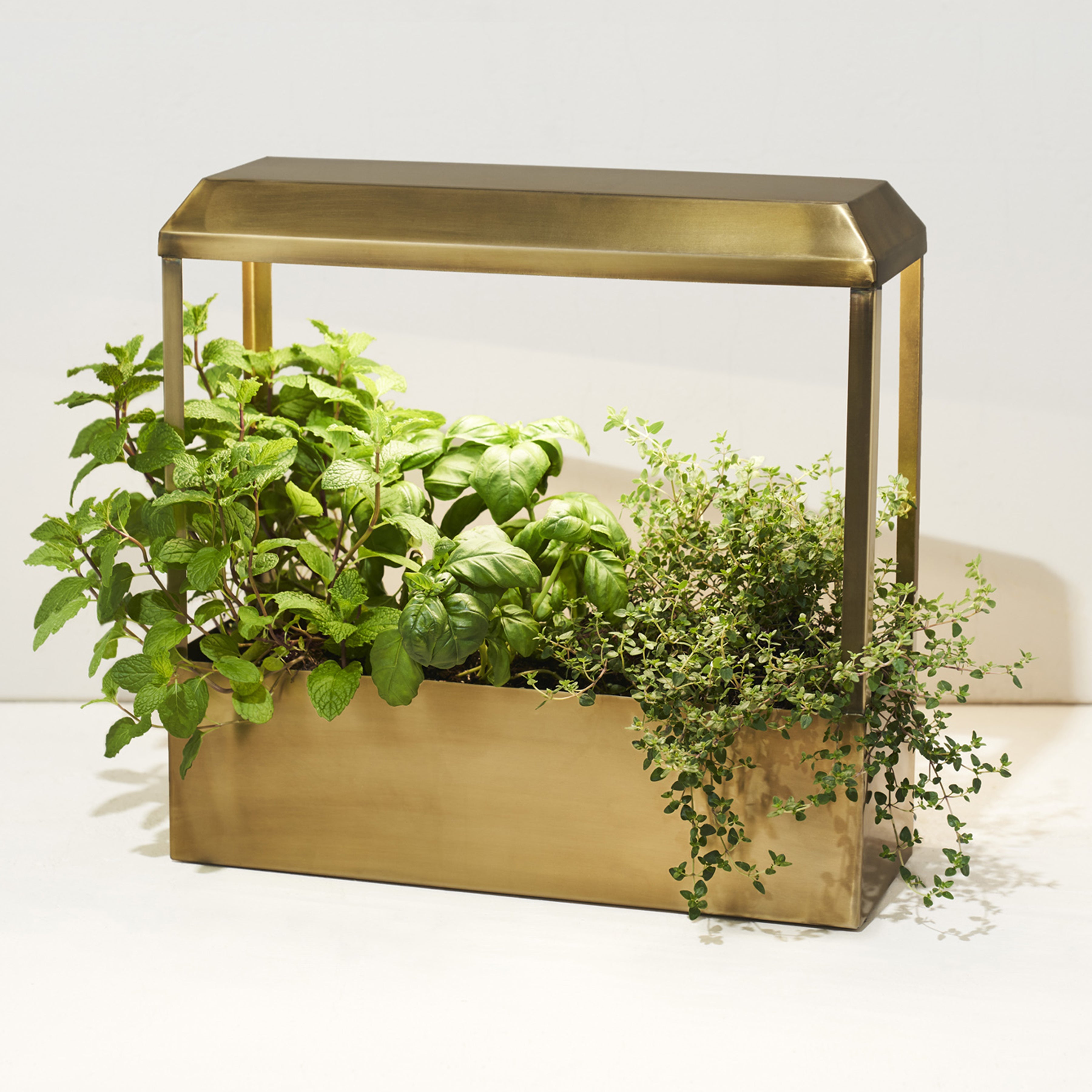 Full-Spectrum LED Smart Growhouse Planter