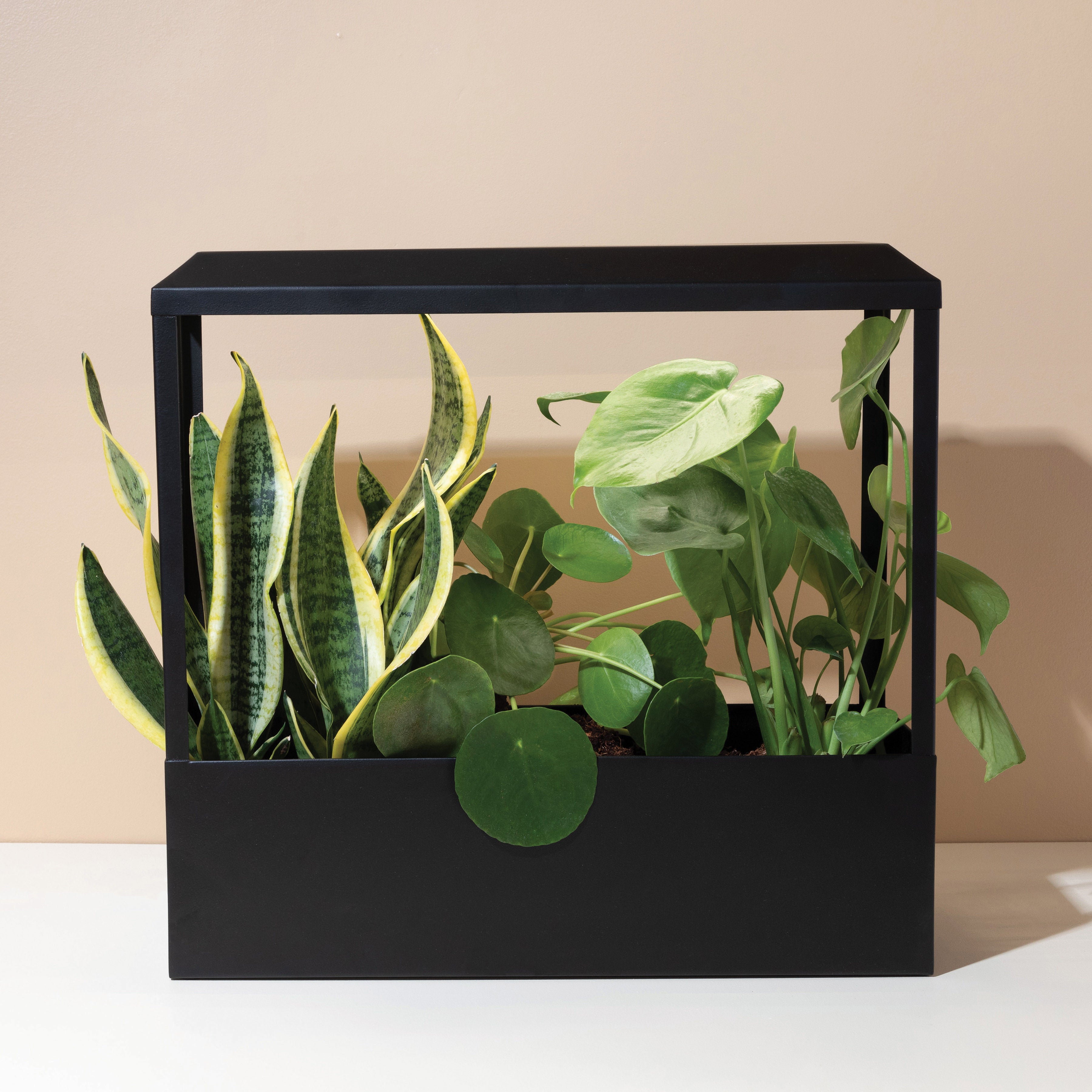 Full-Spectrum LED Smart Growhouse Planter