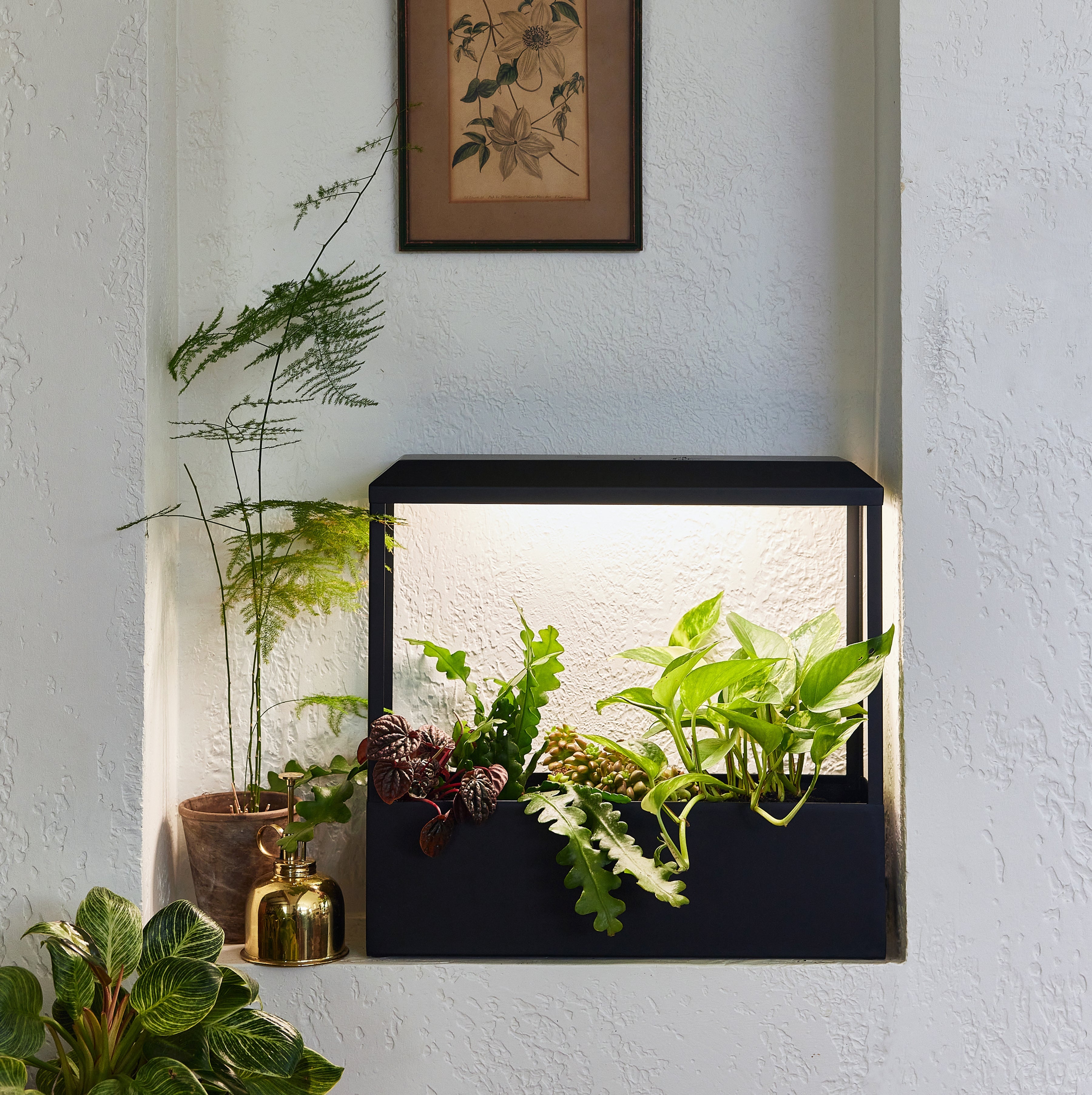 Full-Spectrum LED Smart Growhouse Planter