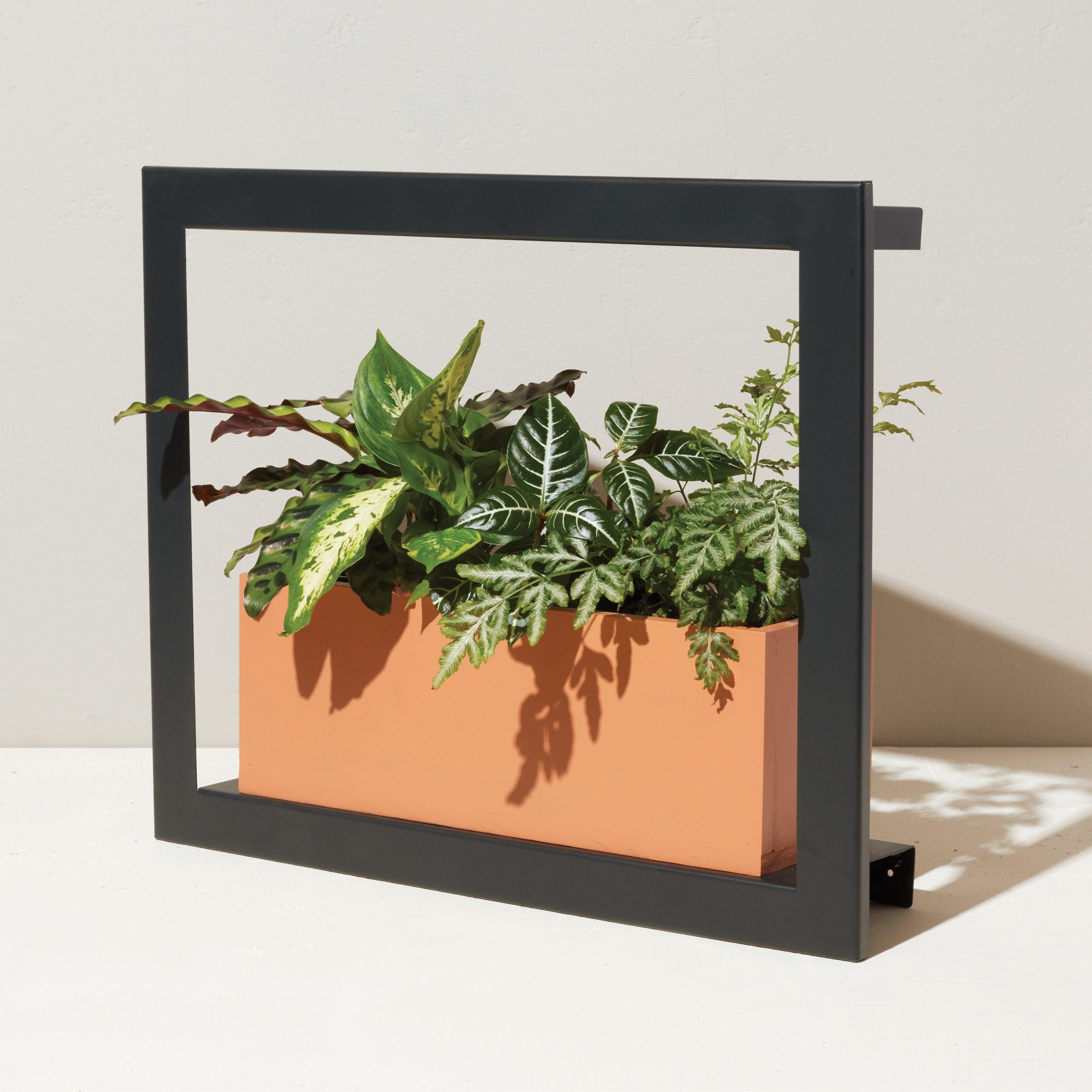 Smart Standard Growframe - Wall Mounted Grow Light
