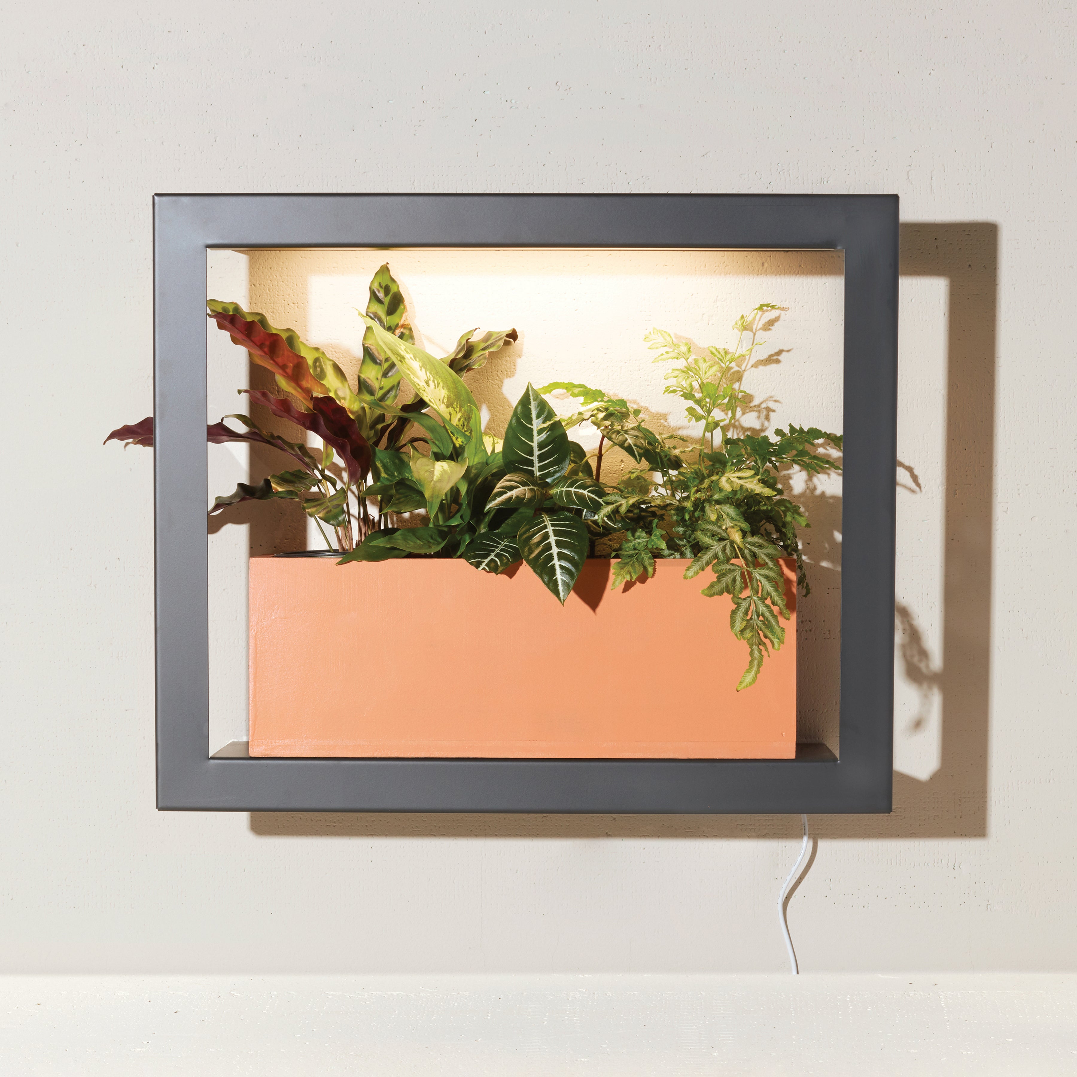 Smart Standard Growframe - Wall Mounted Grow Light