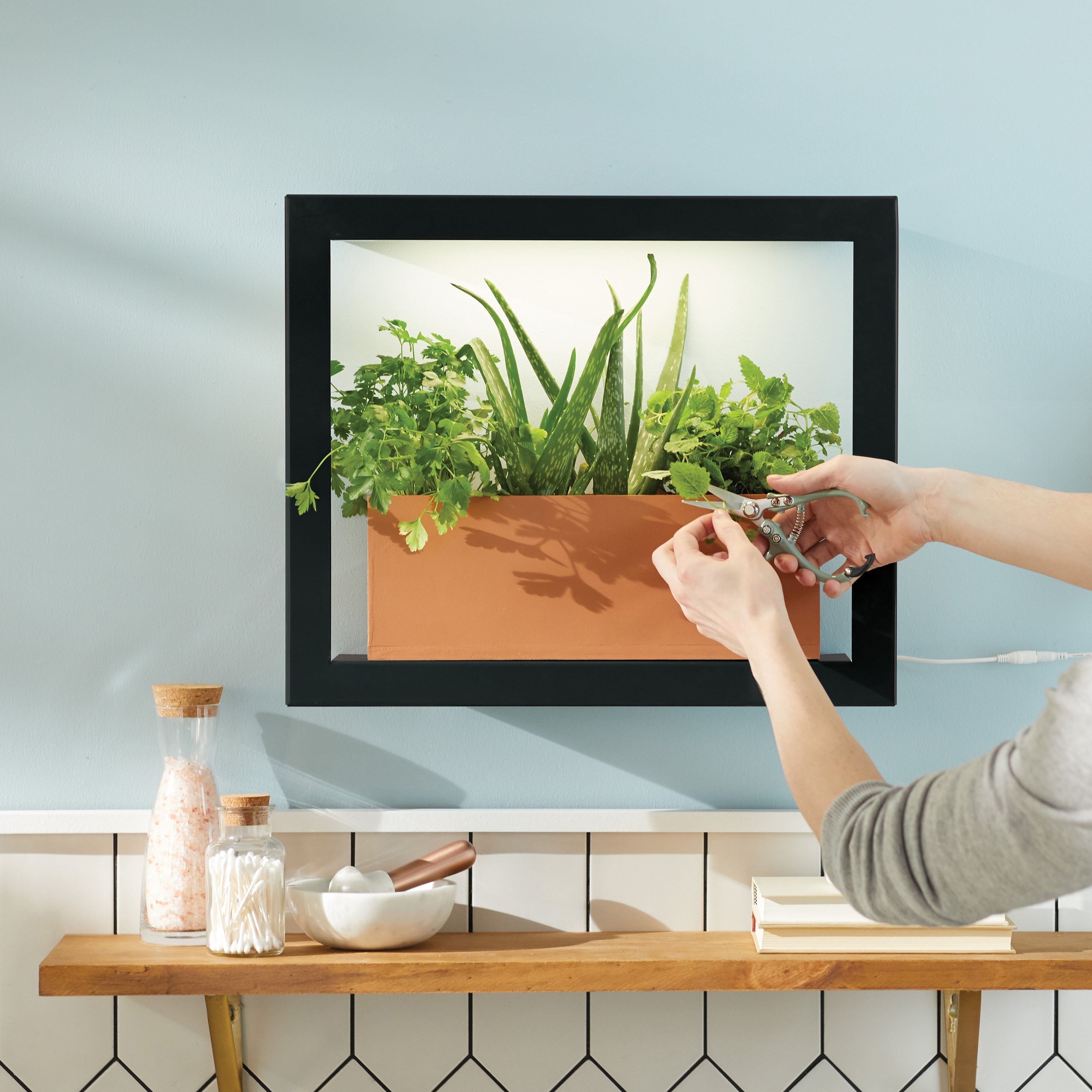 Smart Standard Growframe - Wall Mounted Grow Light