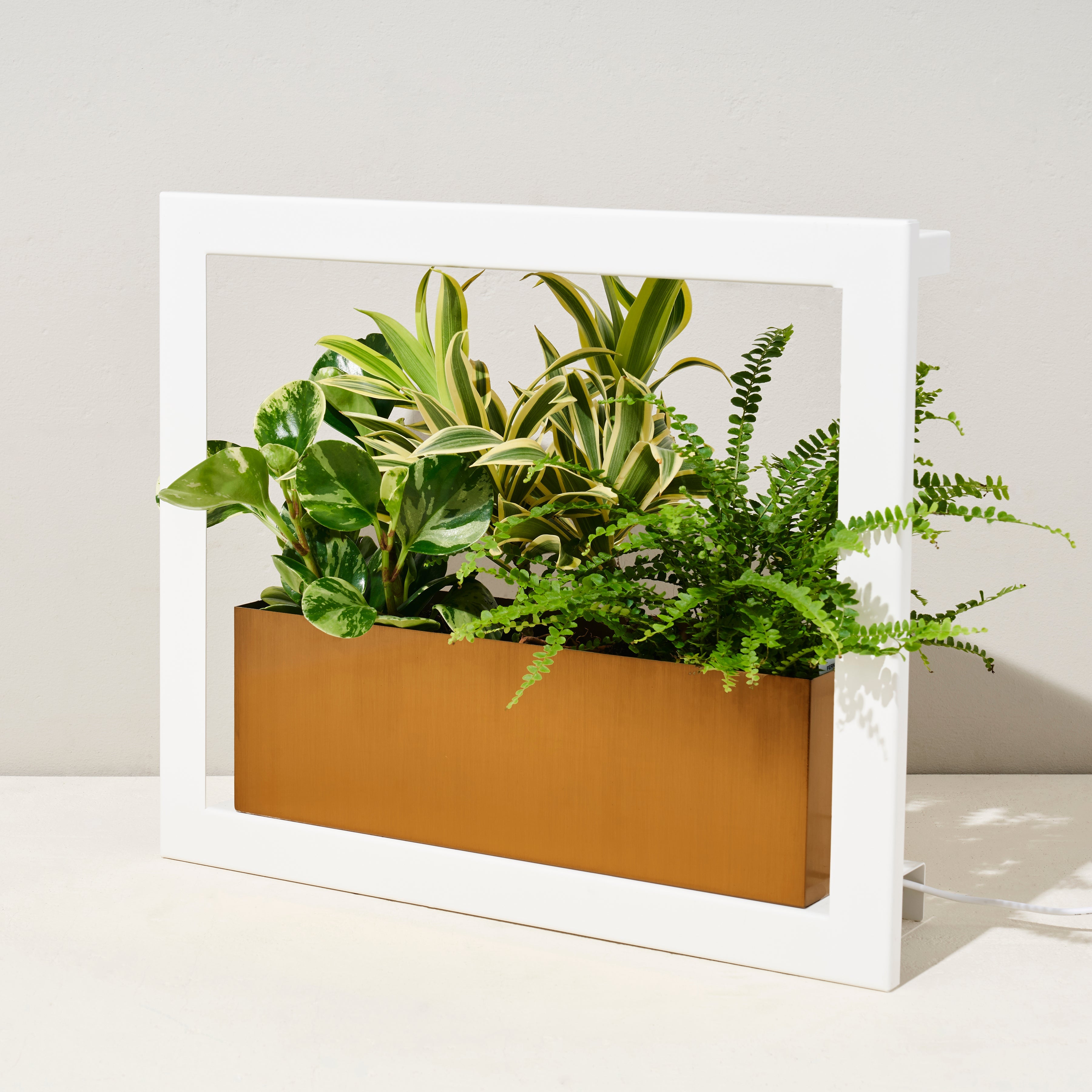 Smart Standard Growframe - Wall Mounted Grow Light