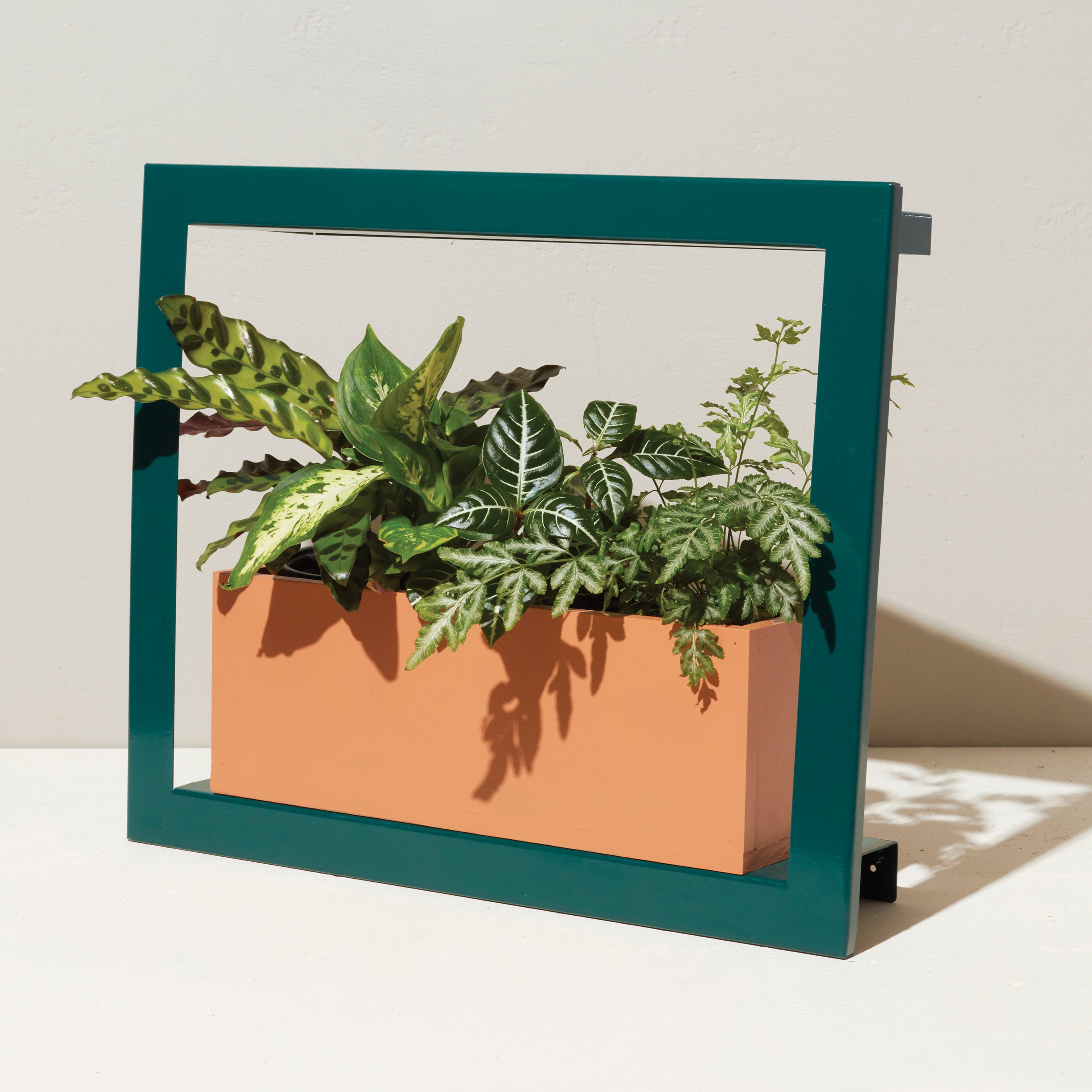 Smart Standard Growframe - Wall Mounted Grow Light