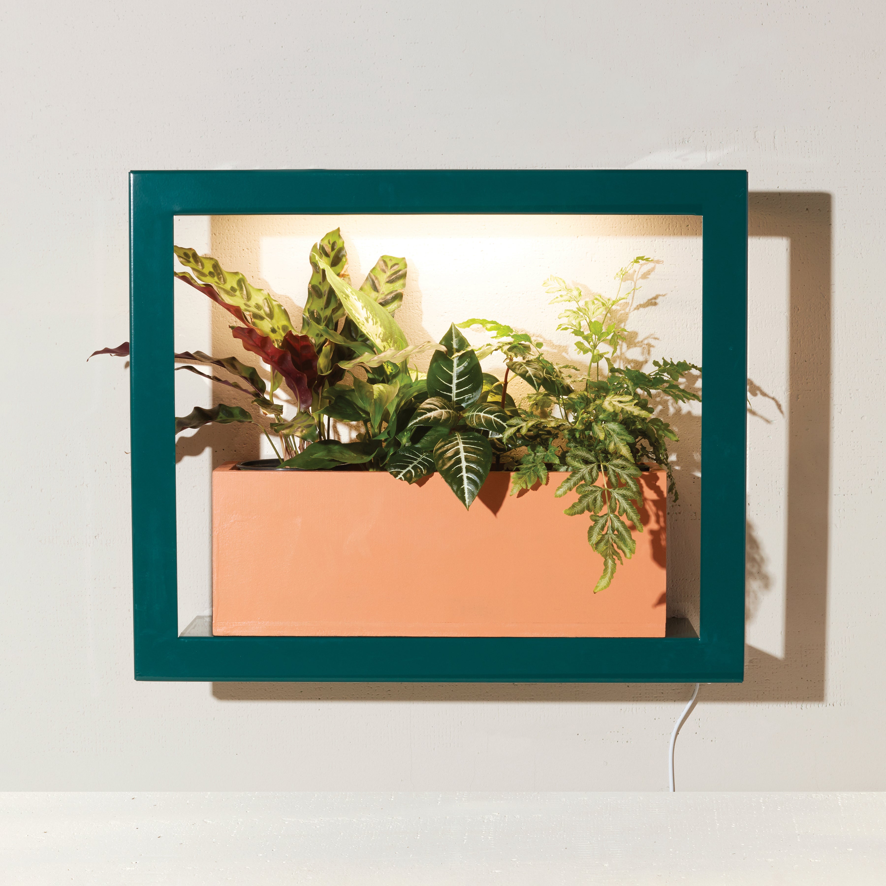 Smart Standard Growframe - Wall Mounted Grow Light