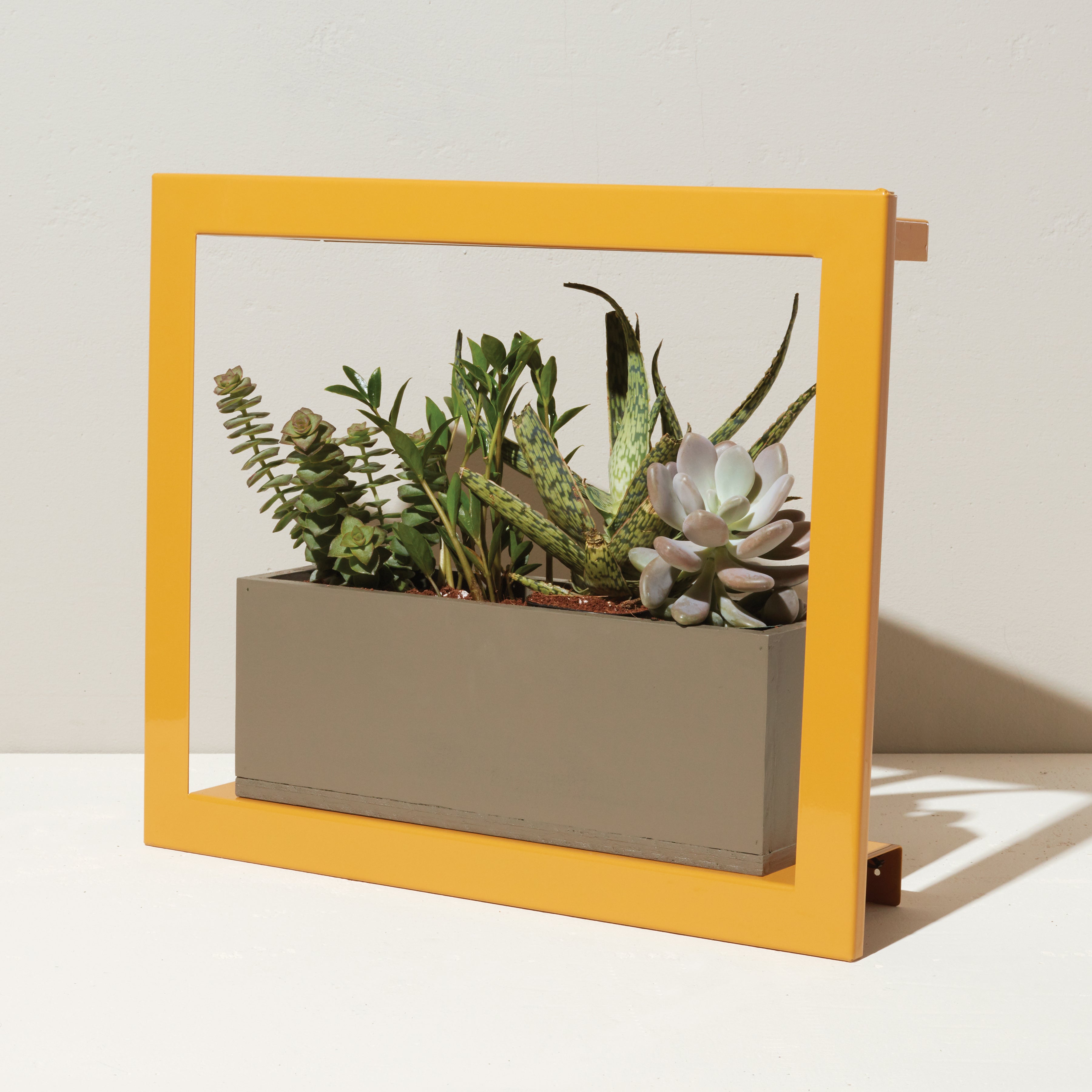 Smart Standard Growframe - Wall Mounted Grow Light