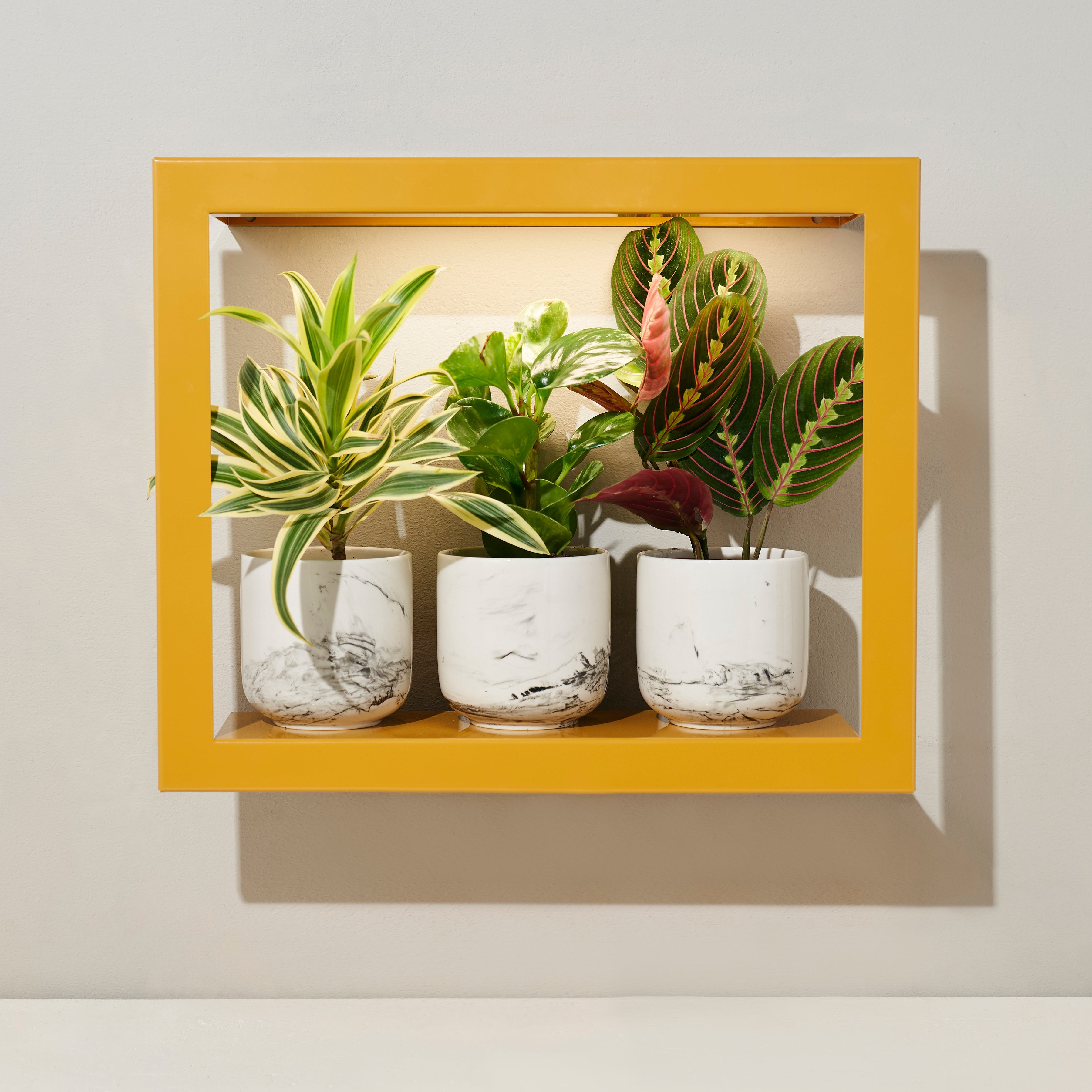 Smart Standard Growframe - Wall Mounted Grow Light