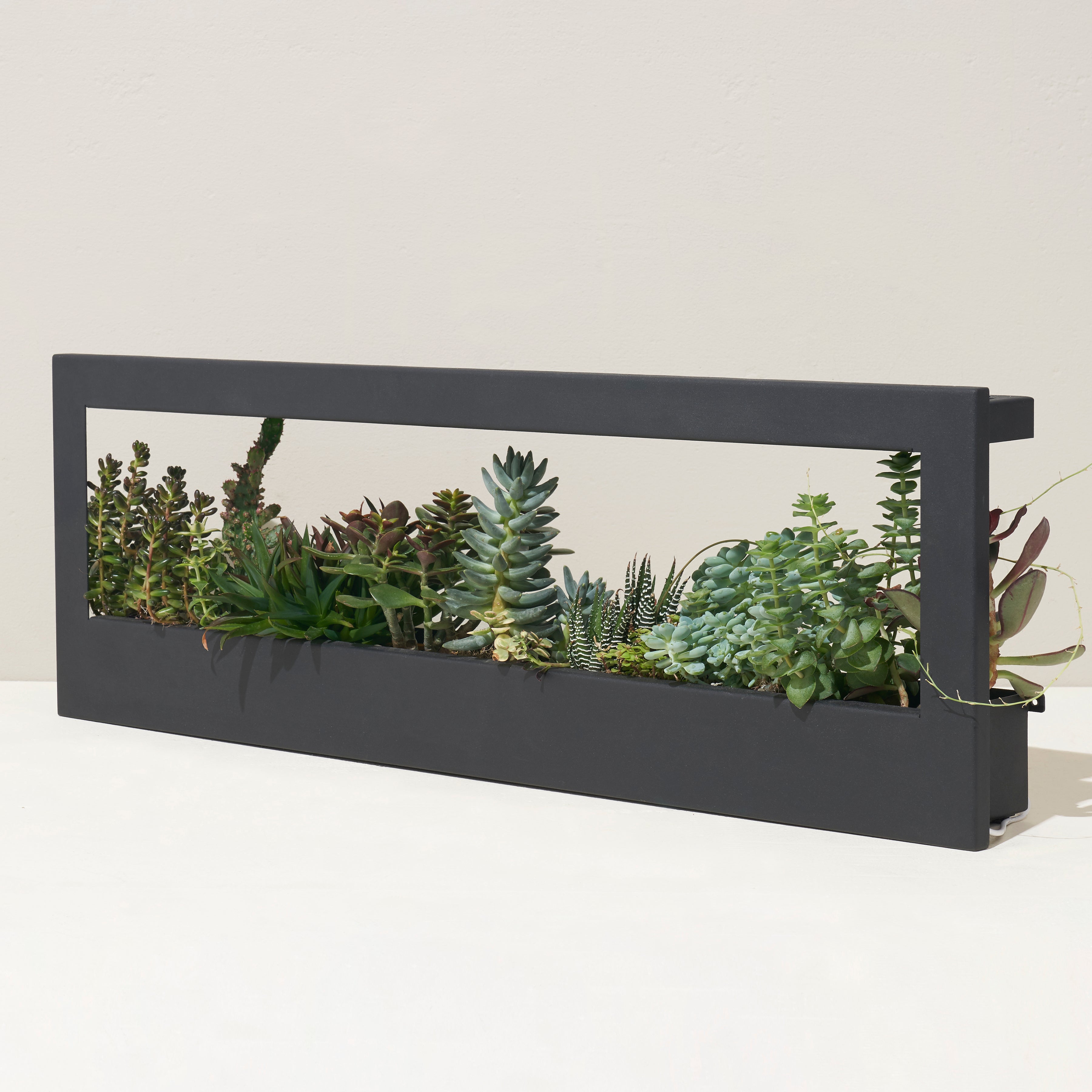 Smart Landscape Growframe - Wall Mounted Grow Light