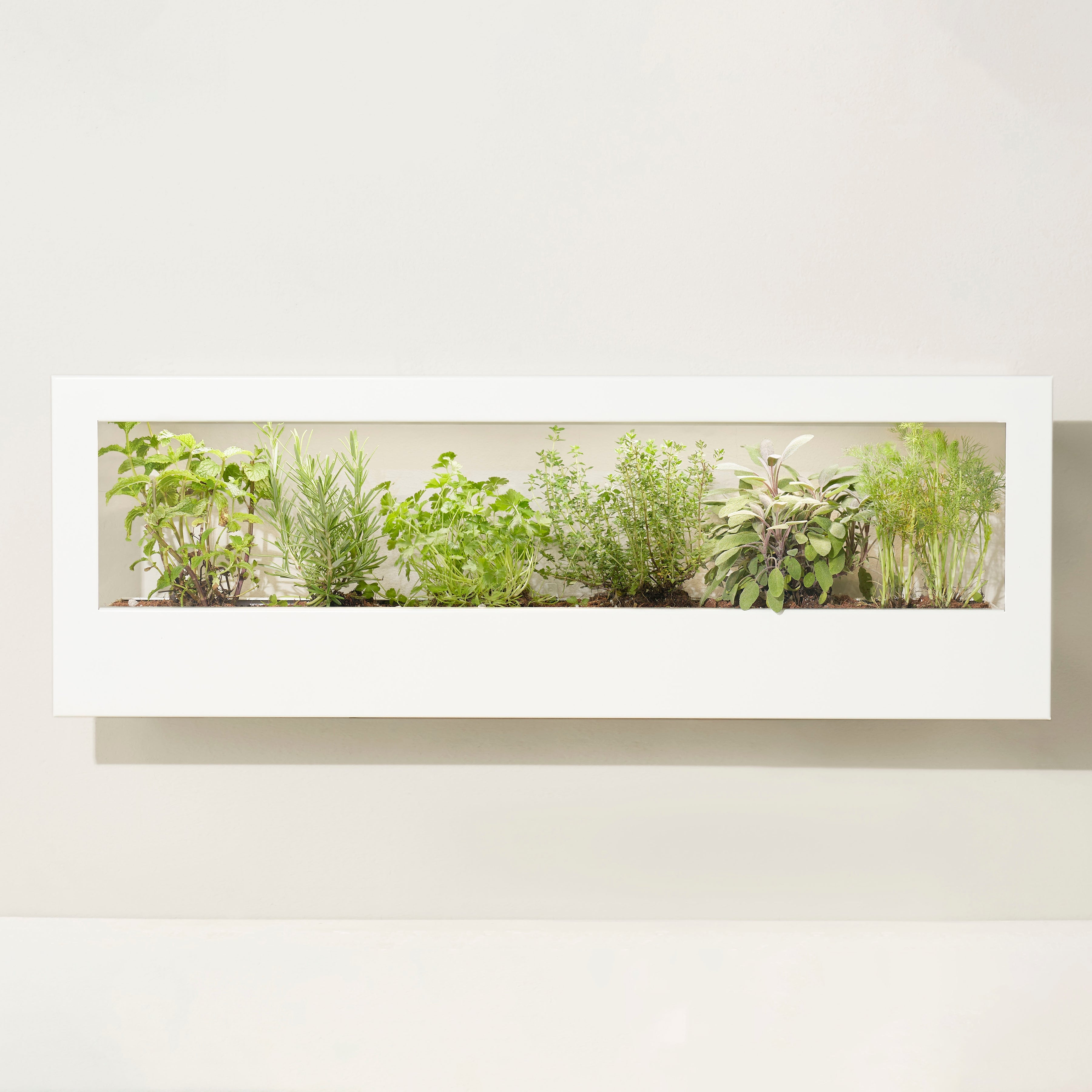 Smart Landscape Growframe - Wall Mounted Grow Light
