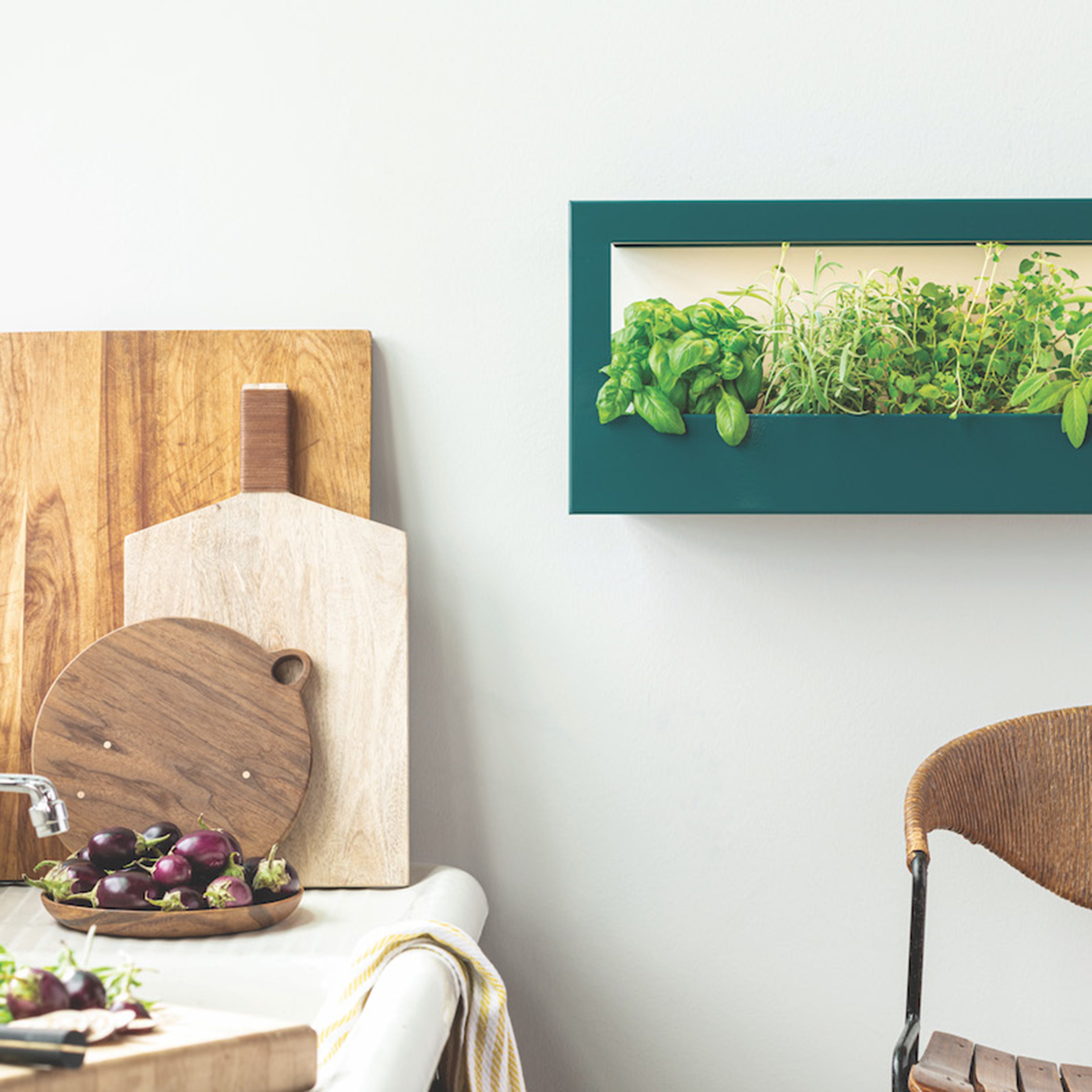 Smart Landscape Growframe - Wall Mounted Grow Light