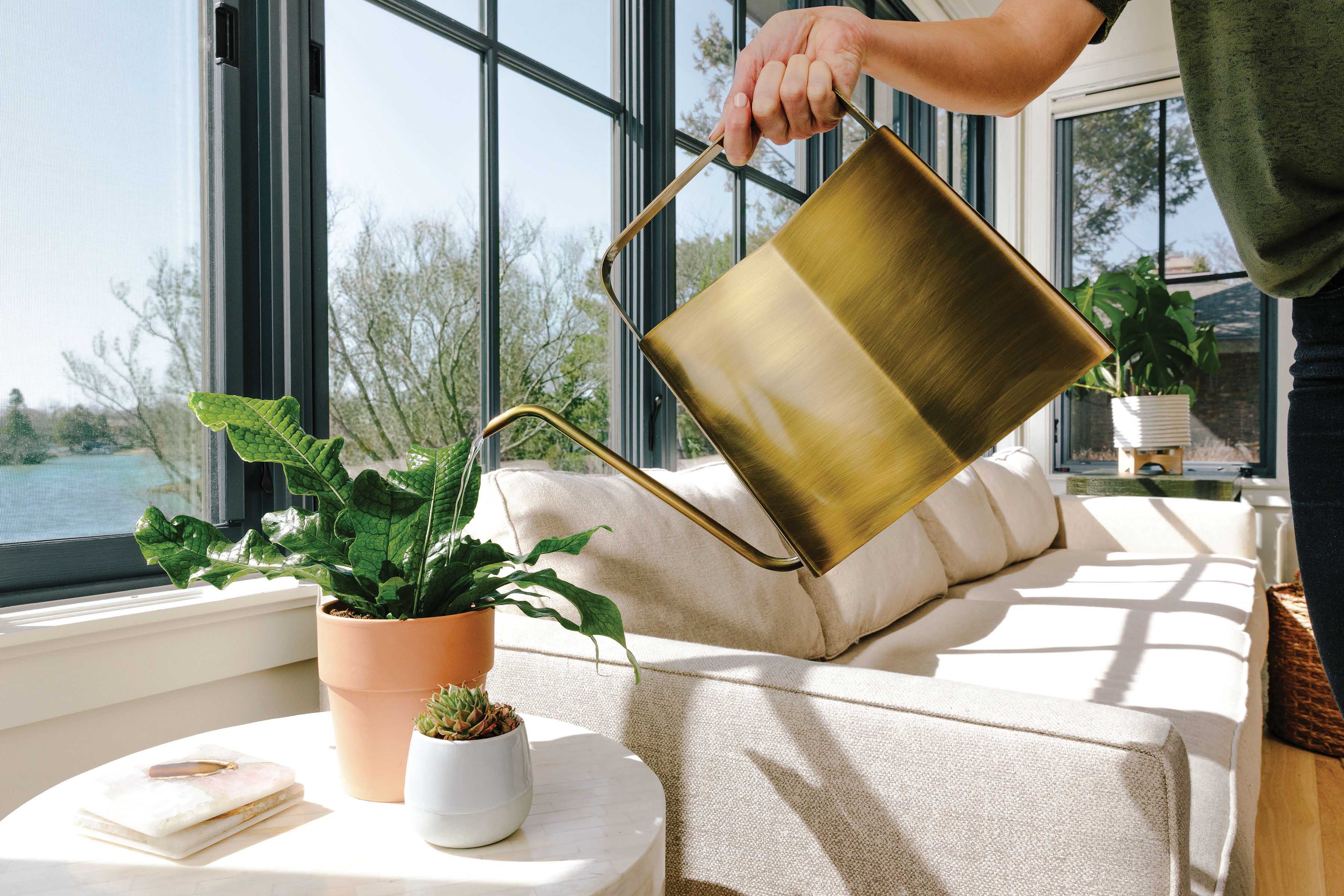 Stainless Steel Watering Can - 3L Slim Design