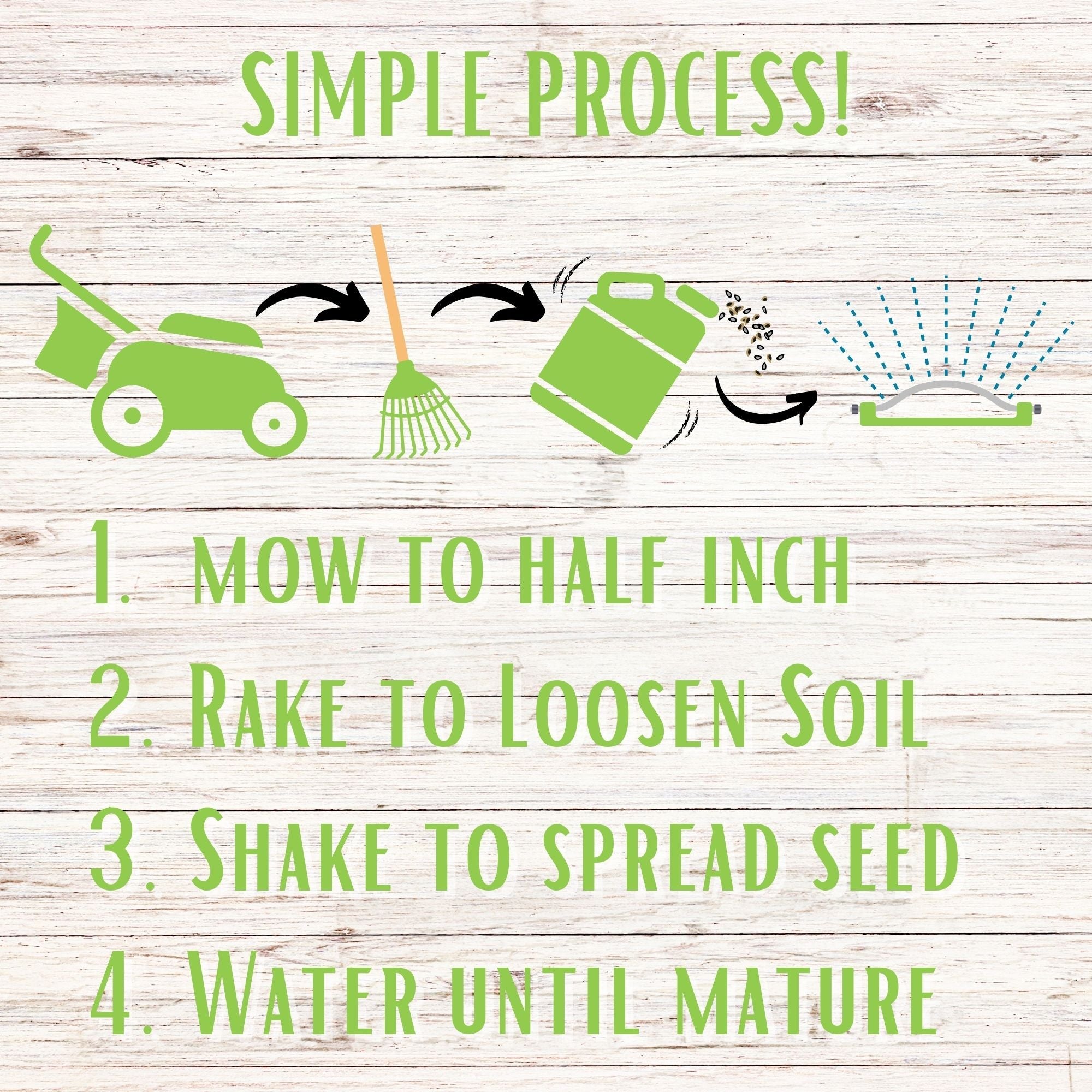 Micro Bee Lawn Blend - Micro Clover, Self-Heal, & Creeping Thyme Seed Kit