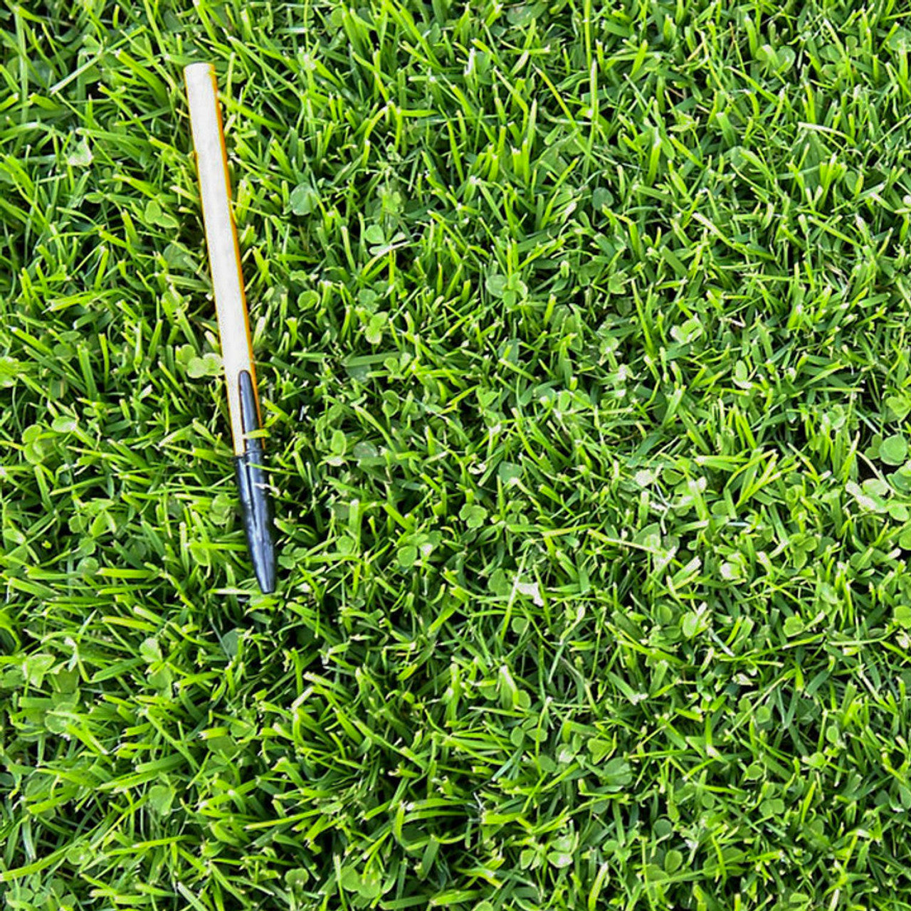 MicroLawn Low & Slow Grass Seed - 5 lbs