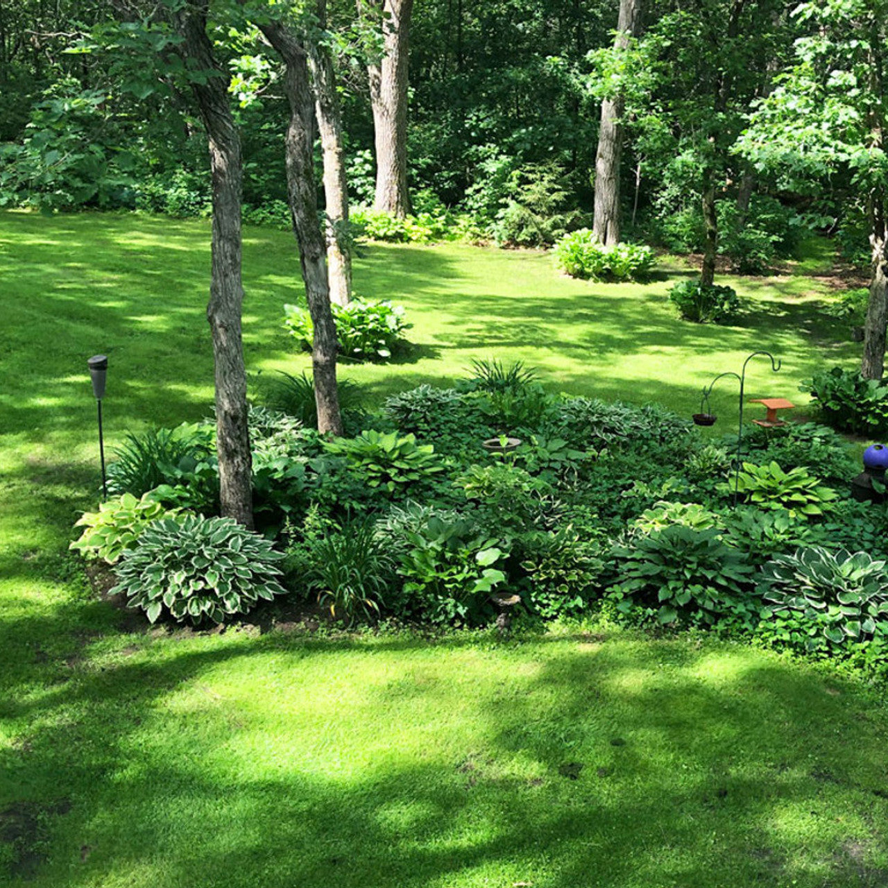 MicroLawn Low & Slow Grass Seed - 5 lbs