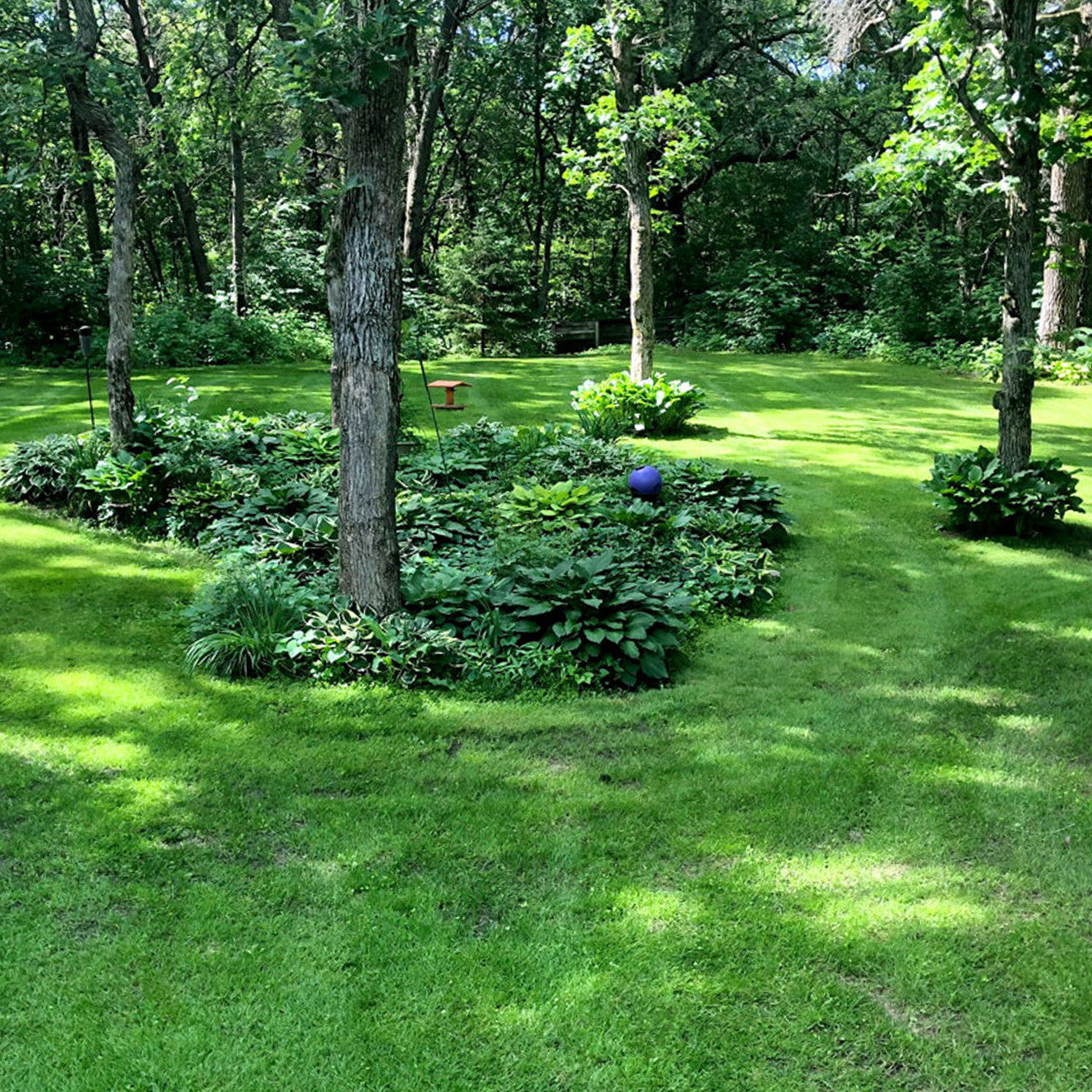 MicroLawn Low & Slow Grass Seed - 5 lbs