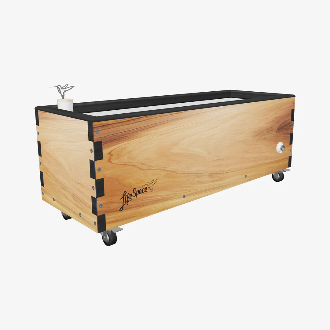 Modern Clear (black trim)