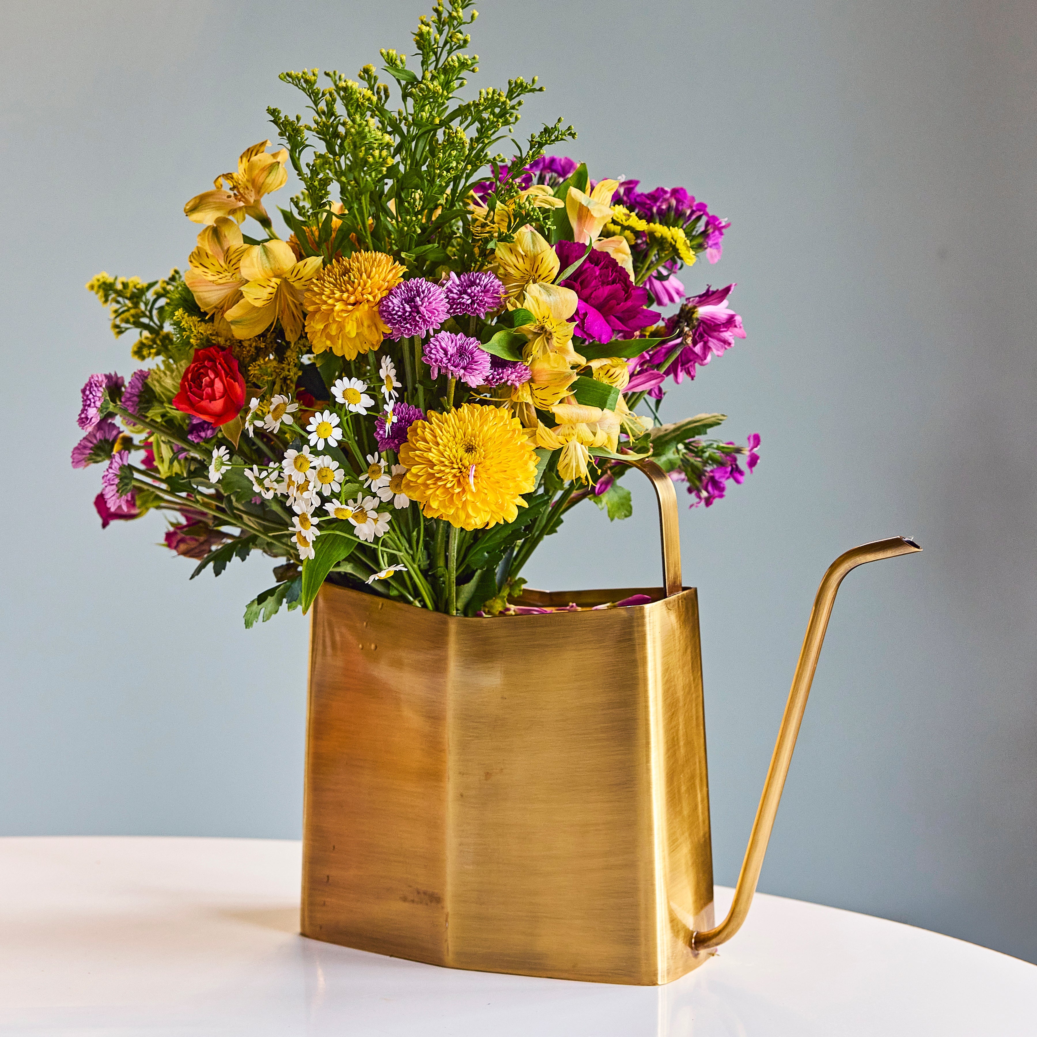 Stainless Steel Watering Can - 3L Slim Design