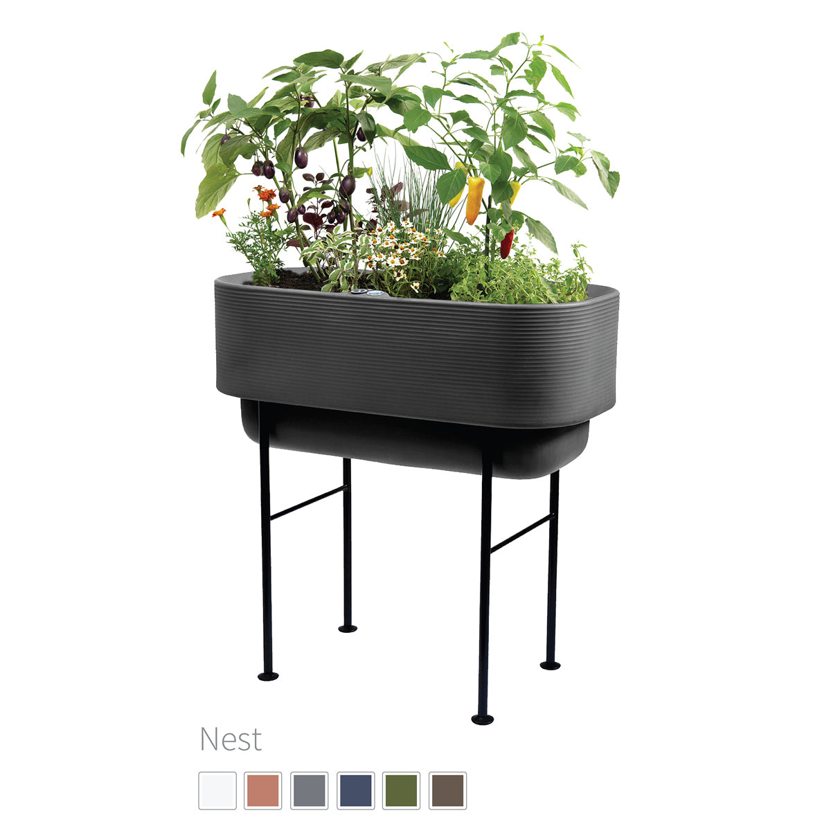 Nest Self-Watering Elevated Garden Planter