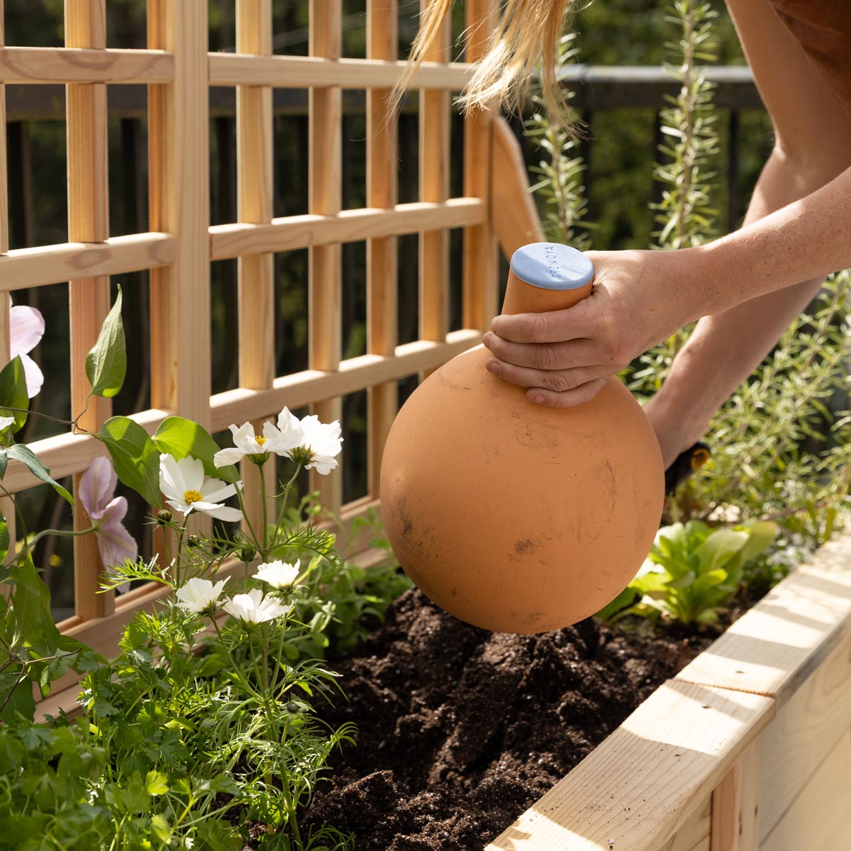 Oya Clay Watering Vessel