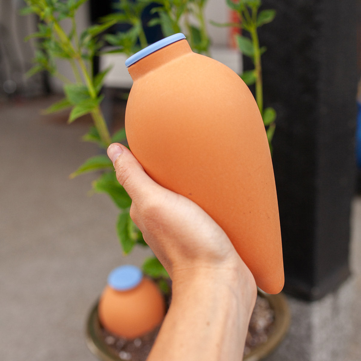 Oya Clay Watering Spike