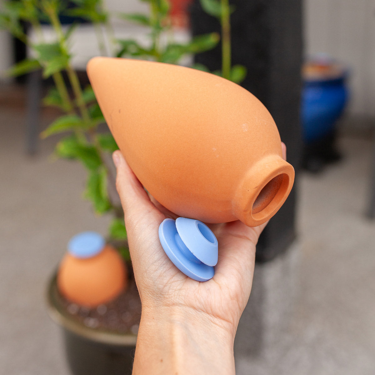 Oya Clay Watering Spike