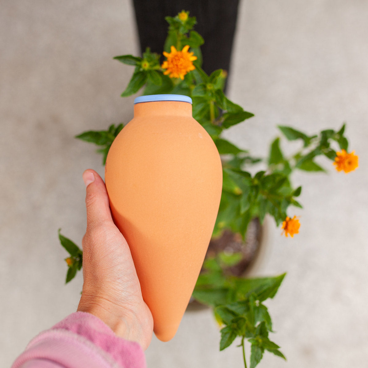 Oya Clay Watering Spike