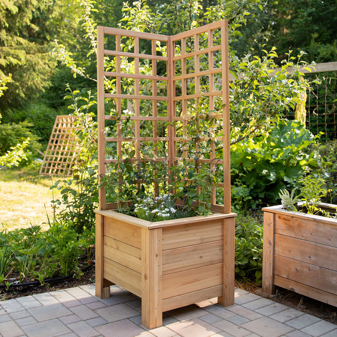 natural wood trellis Natural Cedar Planter Box with L-Trellis