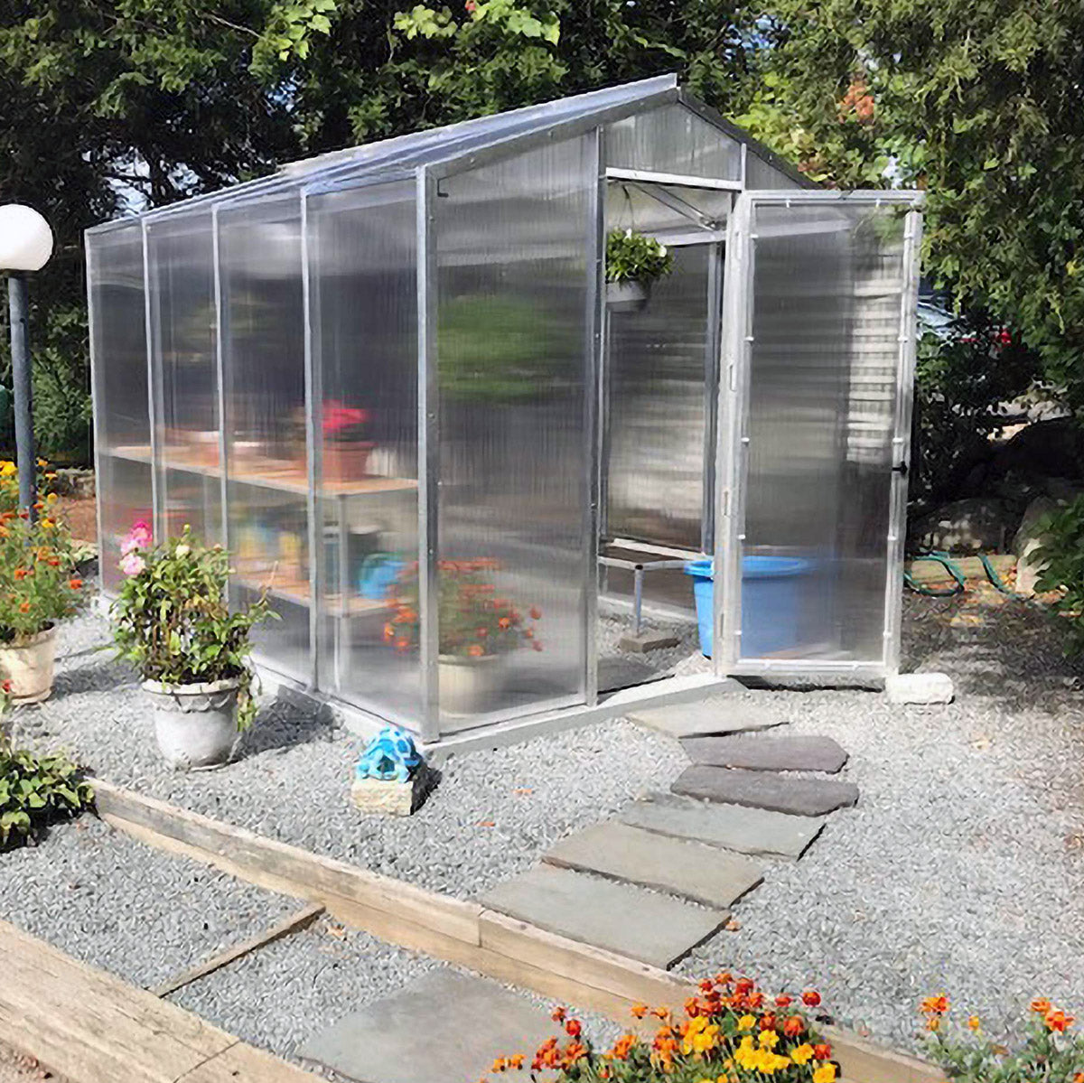 8' x 10' Palmetto Greenhouse