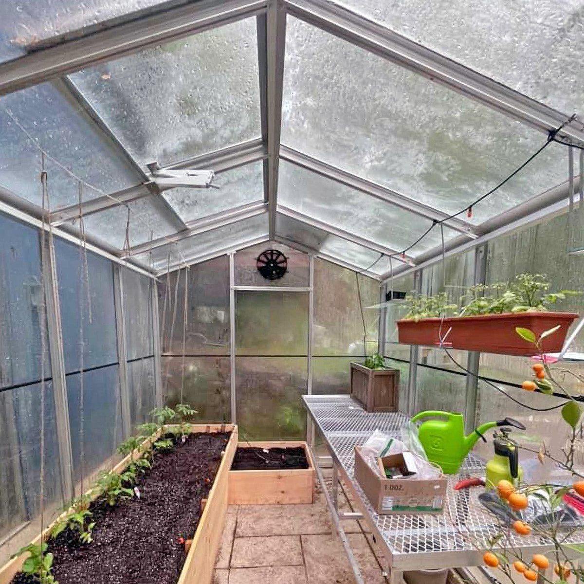 8' x 10' Palmetto Greenhouse