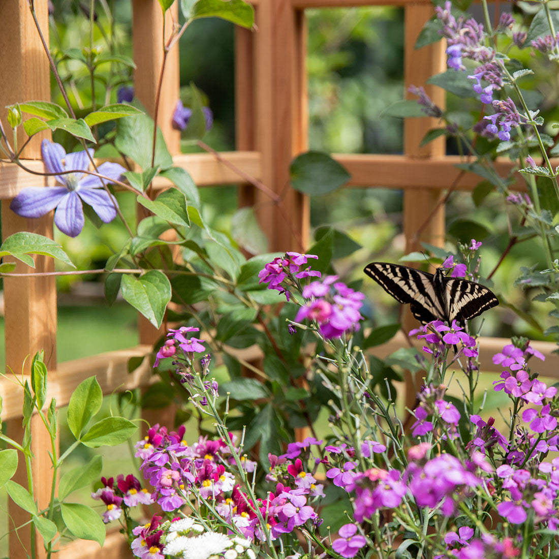 Natural Cedar Planter Box with L-Trellis