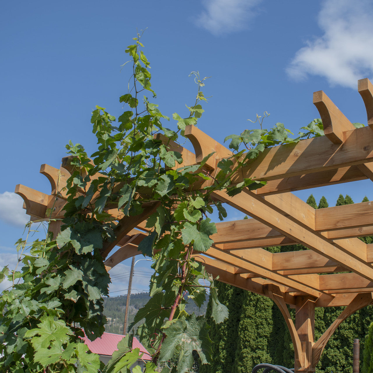 8' x 10' Premium Cedar Pergola Kit