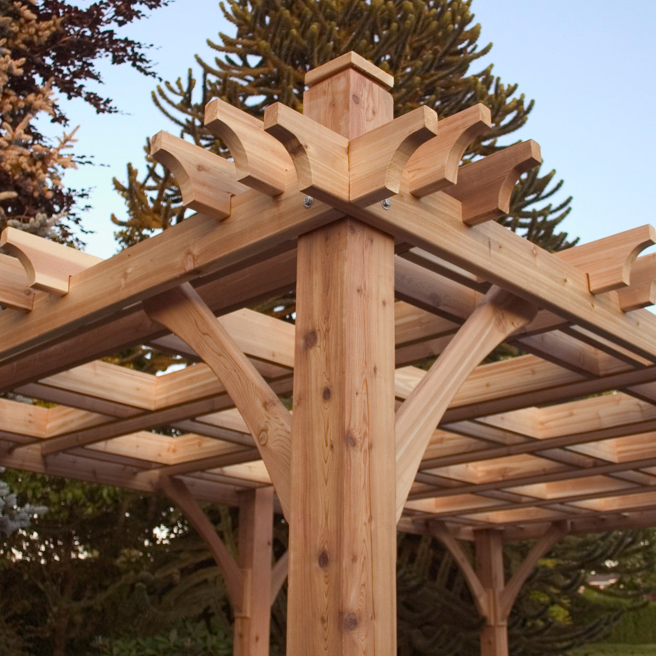 10' x 12' Premium Cedar Pergola Kit